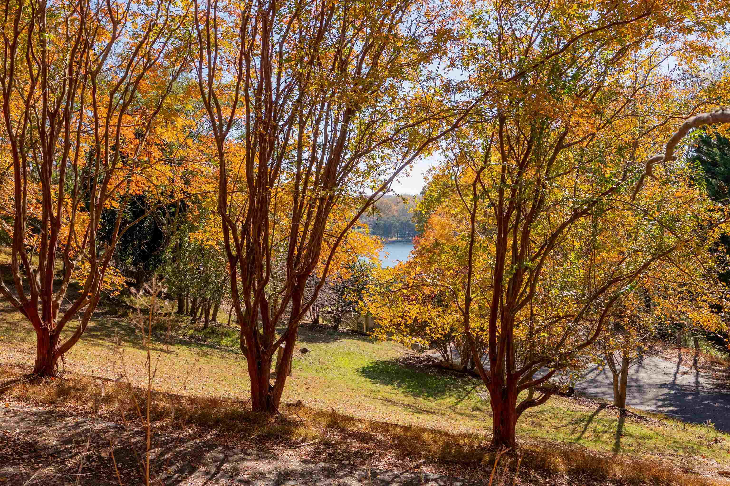 Tbd Lakewood Forest Road Moneta VA 24121