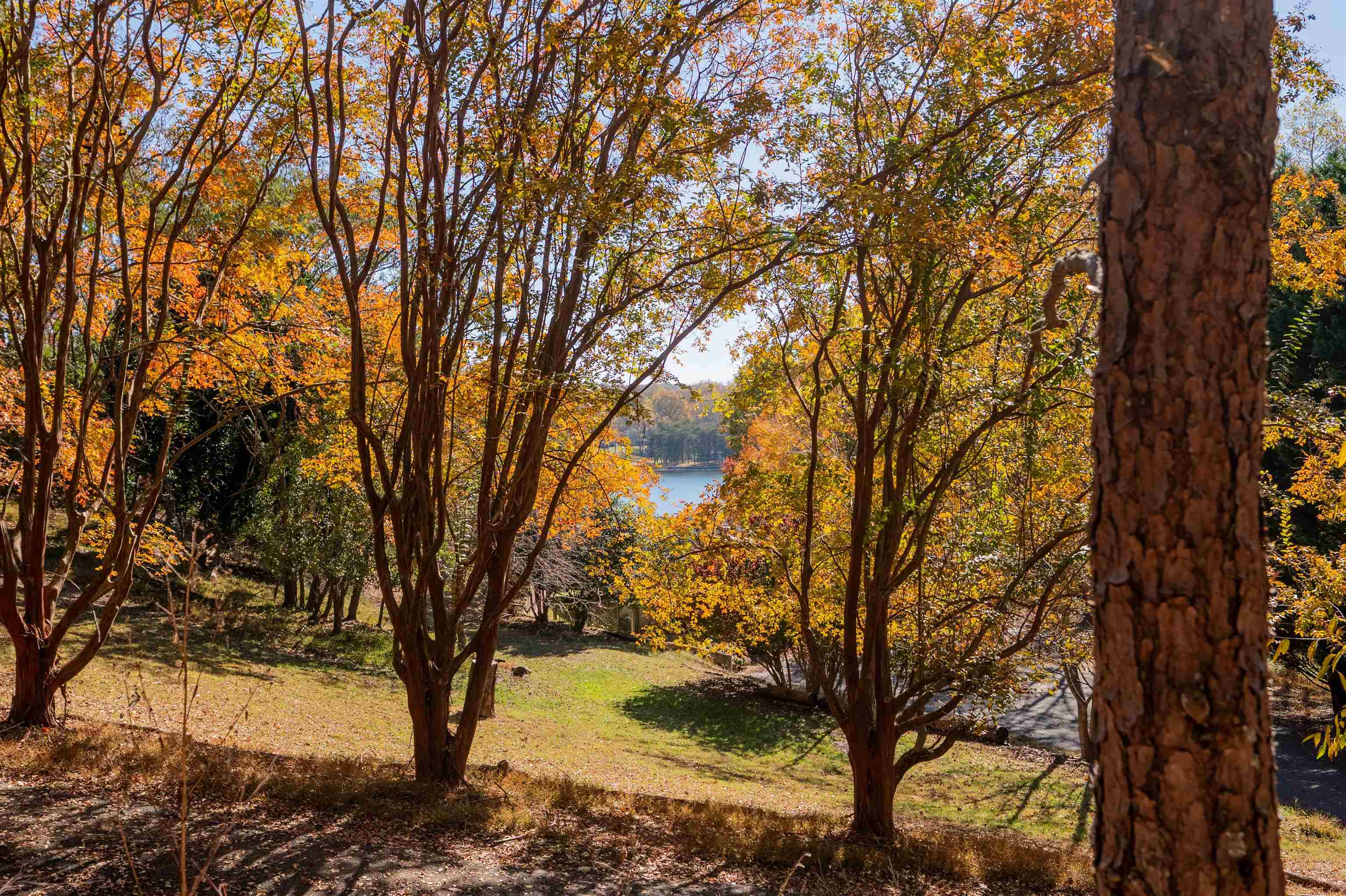 Tbd Lakewood Forest Road Moneta VA 24121