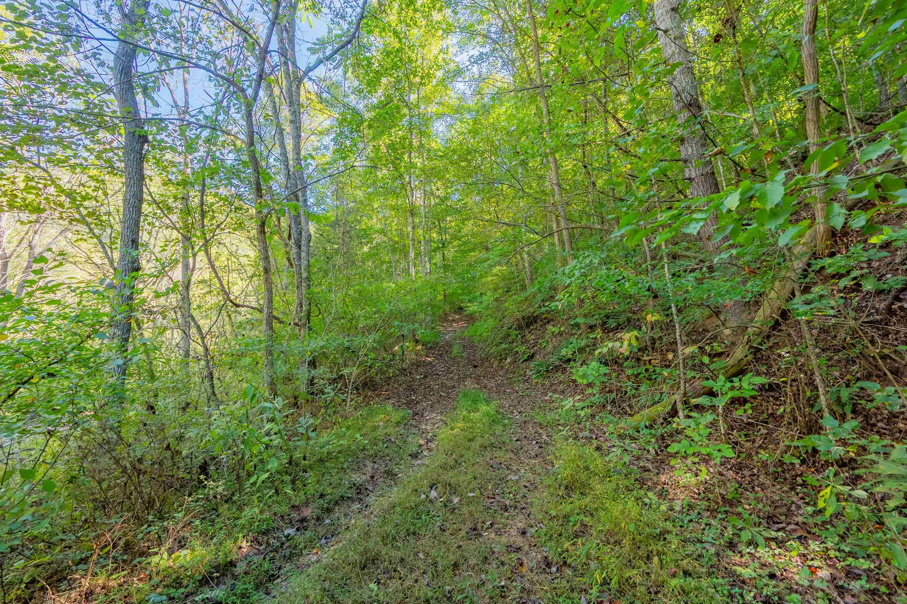 0 Elliott Creek Road Christiansburg VA 24073