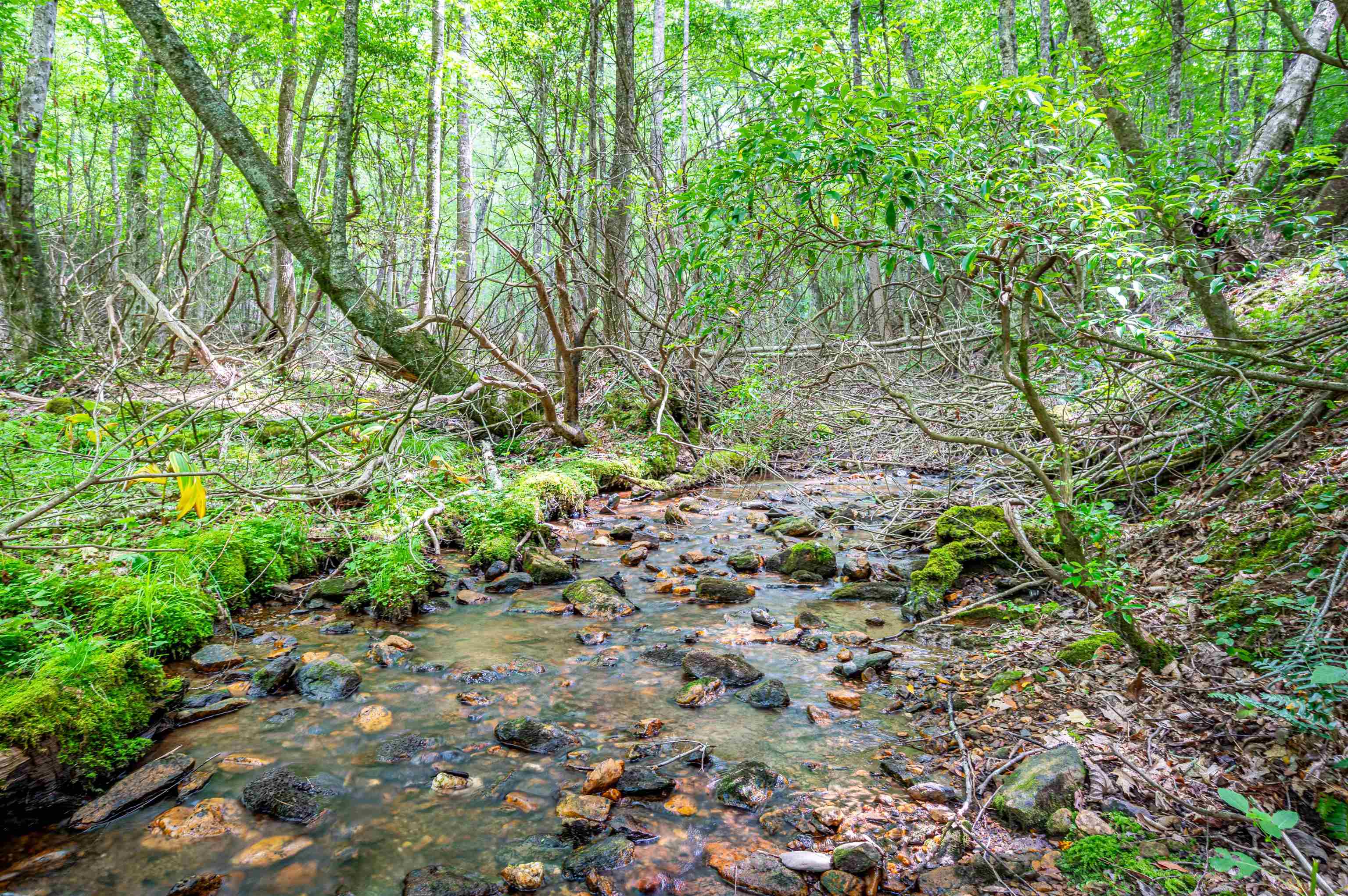 900 Burks Hollow Road SW Willis VA 24380