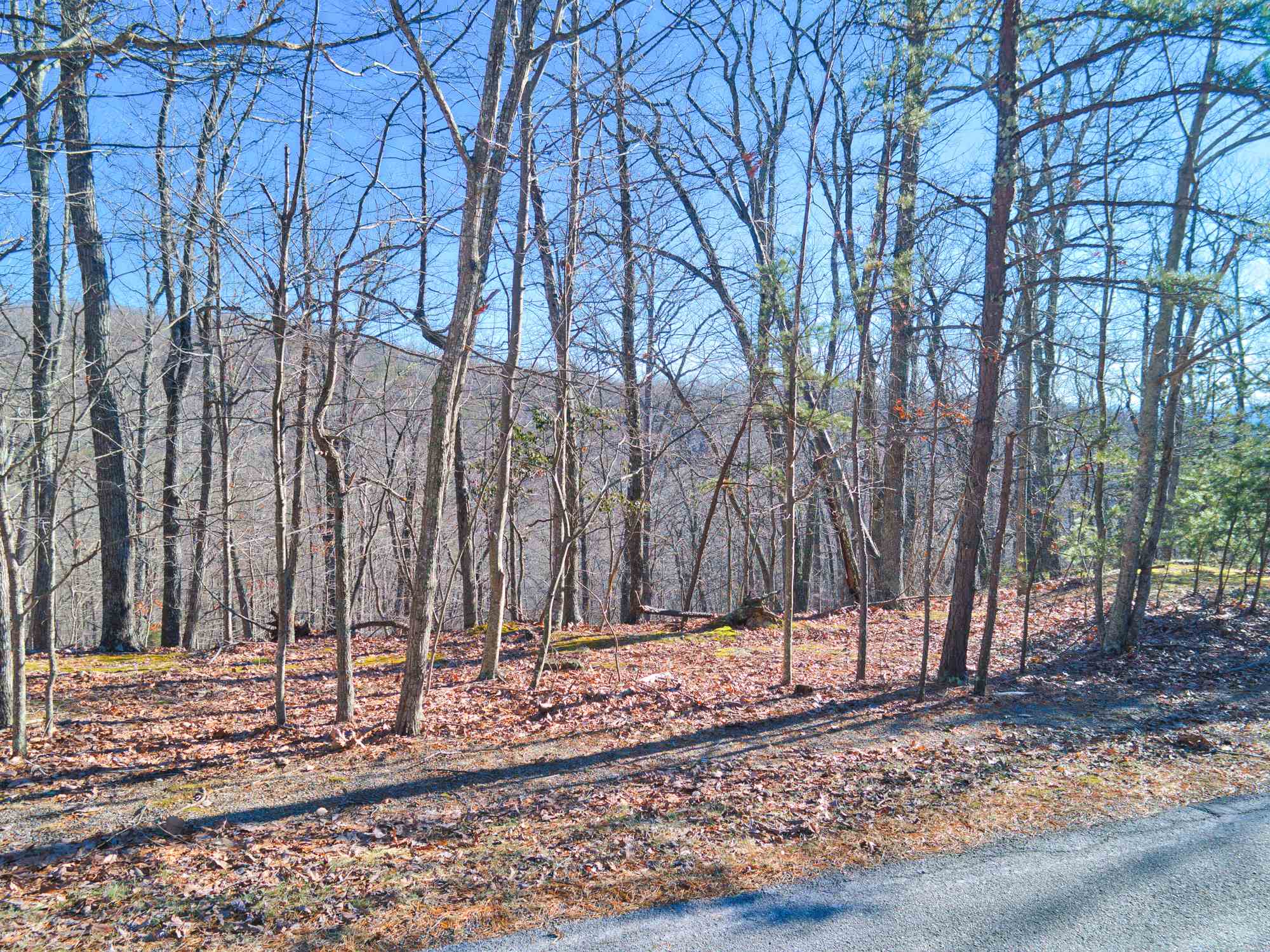 Lot 11 Susannah Drive Blacksburg VA 24060