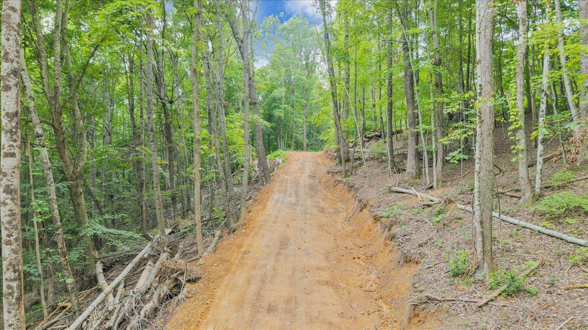0 Bobcat Ln Lane Blacksburg VA 24060