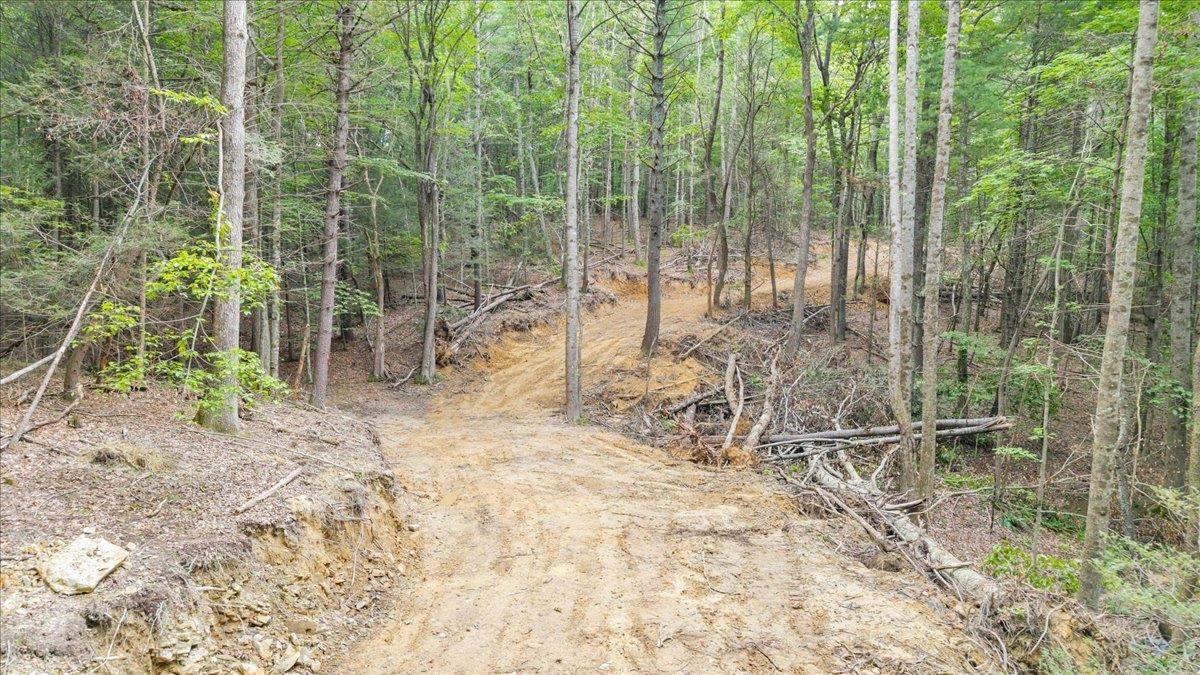 0 Bobcat Ln Lane Blacksburg VA 24060