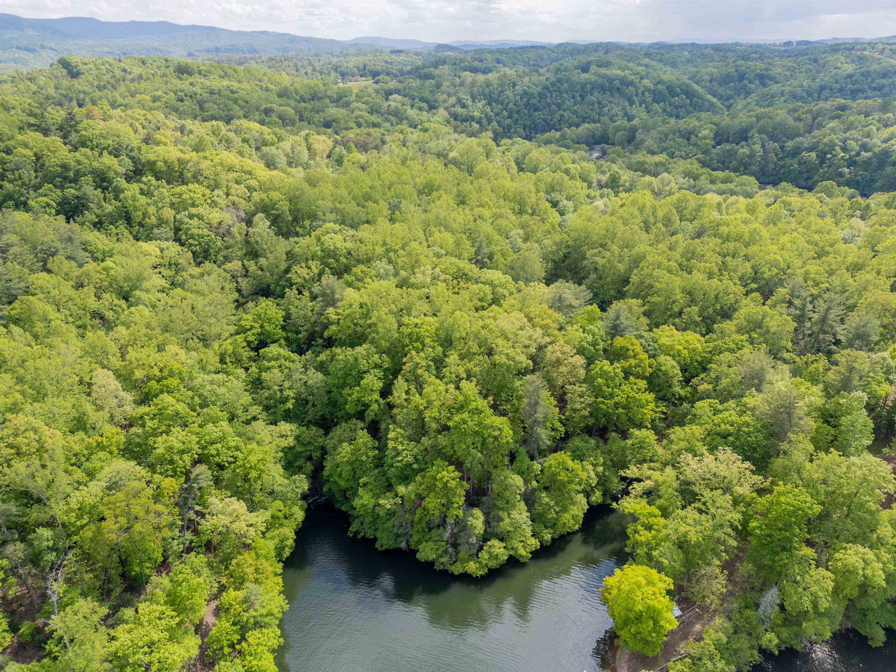 Tbd Graham Morris Lane Pulaski VA 24301