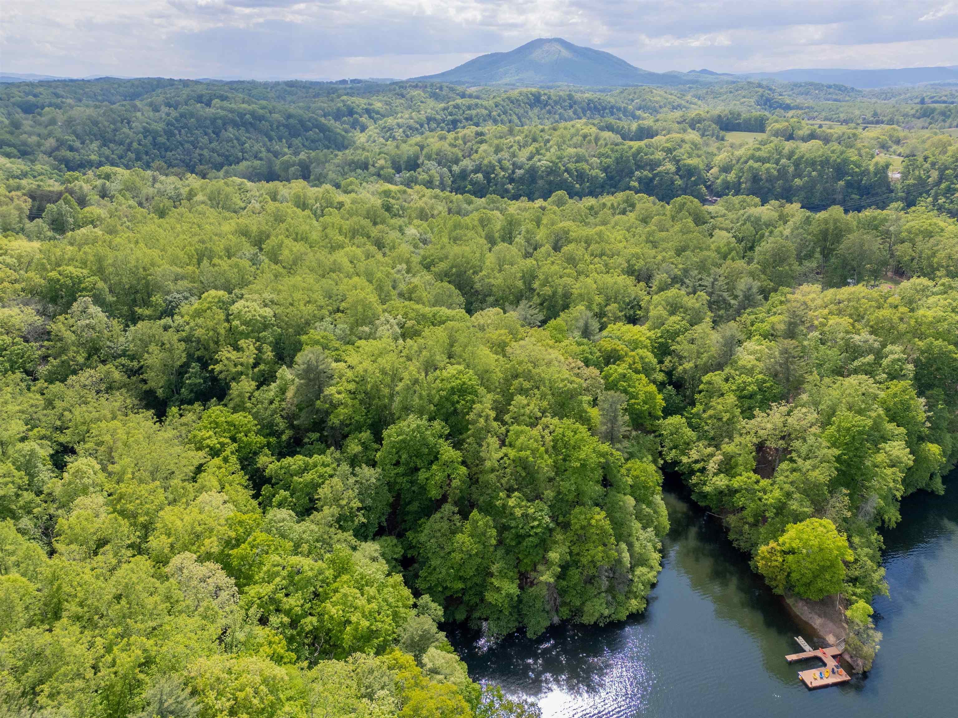 Tbd Graham Morris Lane Pulaski VA 24301