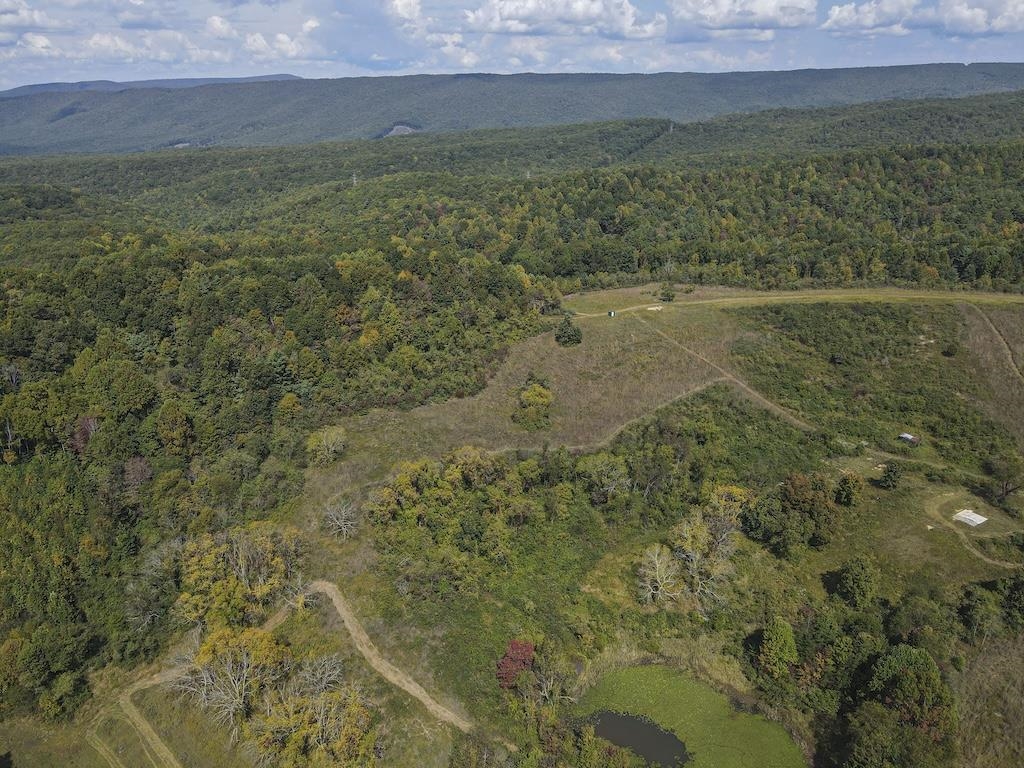 Tbd Flat Top Road Pearisburg VA 24134