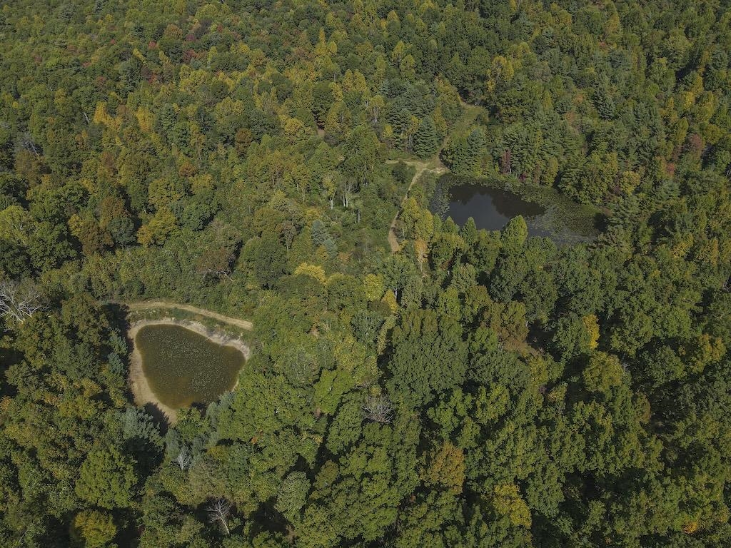 Tbd Flat Top Road Pearisburg VA 24134