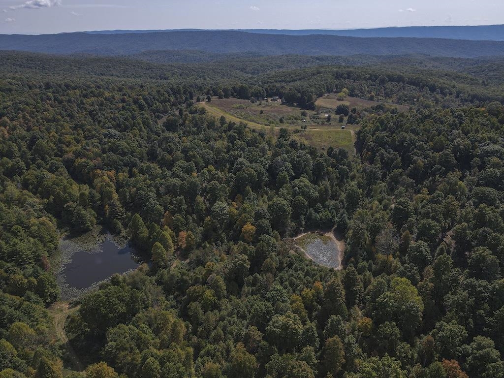 Tbd Flat Top Road Pearisburg VA 24134