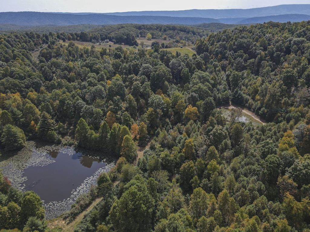 Tbd Flat Top Road Pearisburg VA 24134