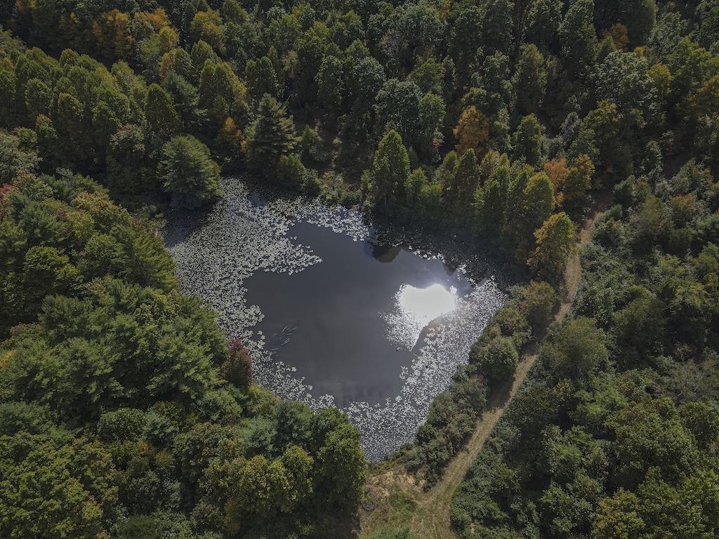 Tbd Flat Top Road Pearisburg VA 24134