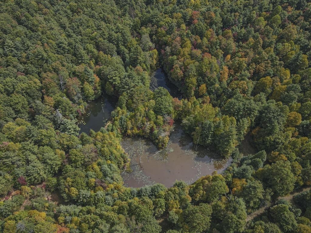 Tbd Flat Top Road Pearisburg VA 24134