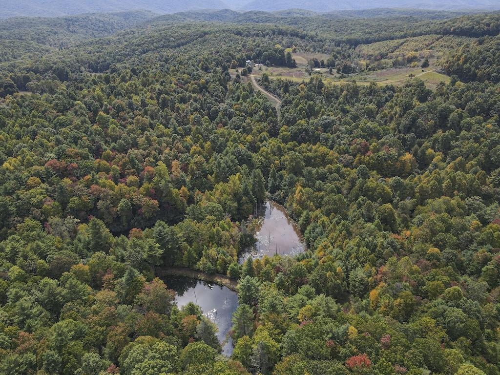 Tbd Flat Top Road Pearisburg VA 24134