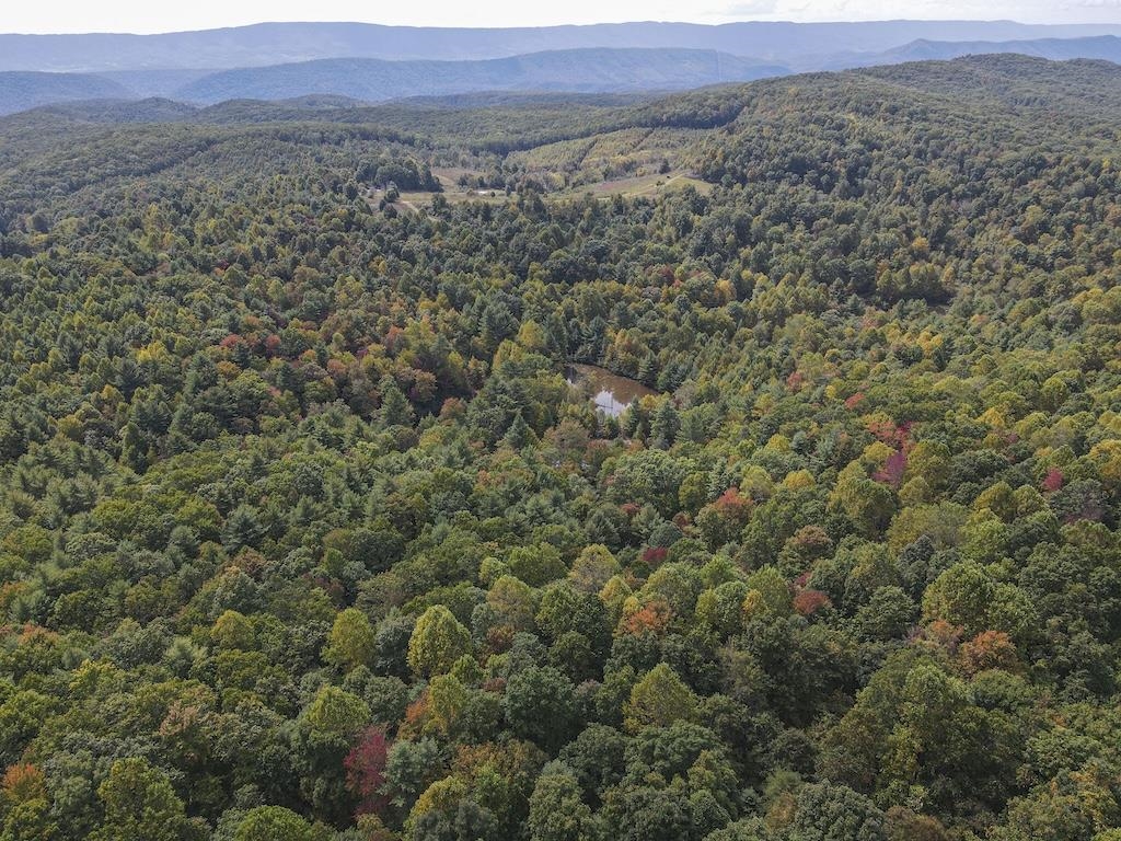 Tbd Flat Top Road Pearisburg VA 24134