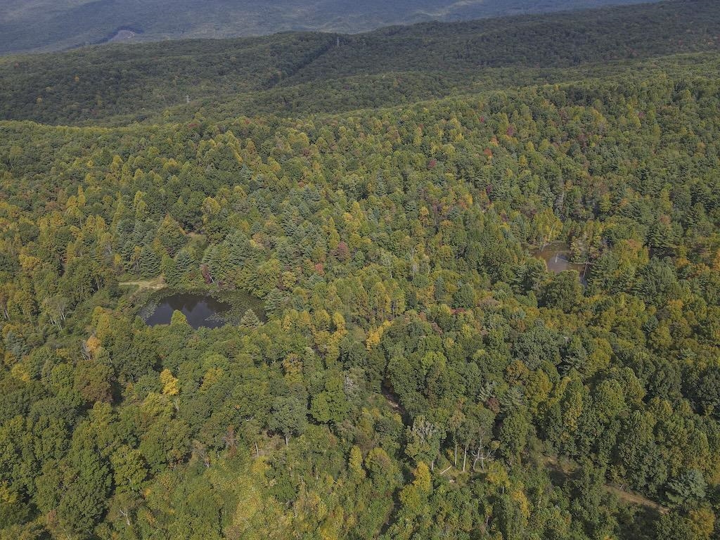 Tbd Flat Top Road Pearisburg VA 24134