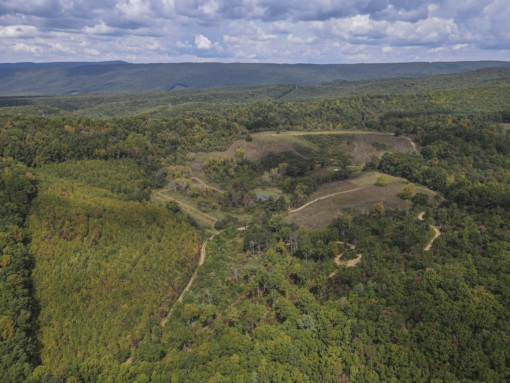 Tbd Flat Top Road Pearisburg VA 24134