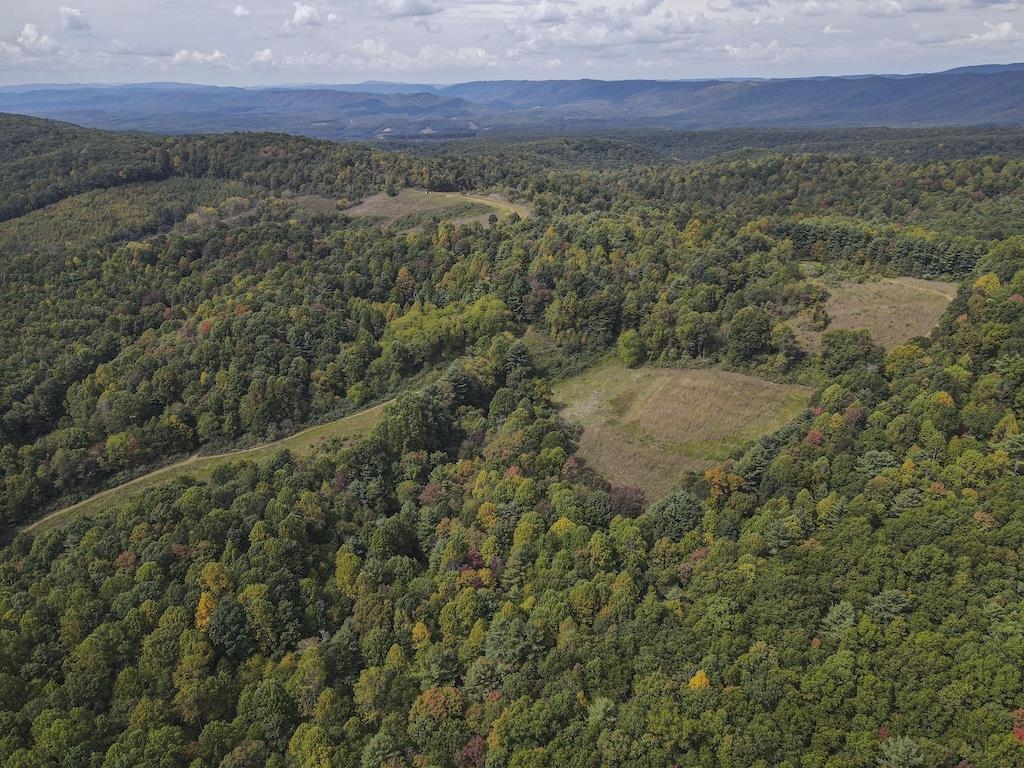 Tbd Flat Top Road Pearisburg VA 24134