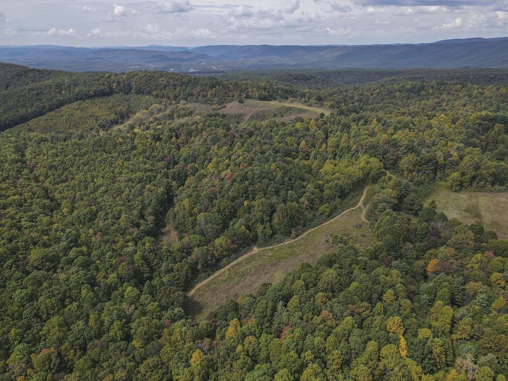 Tbd Flat Top Road Pearisburg VA 24134