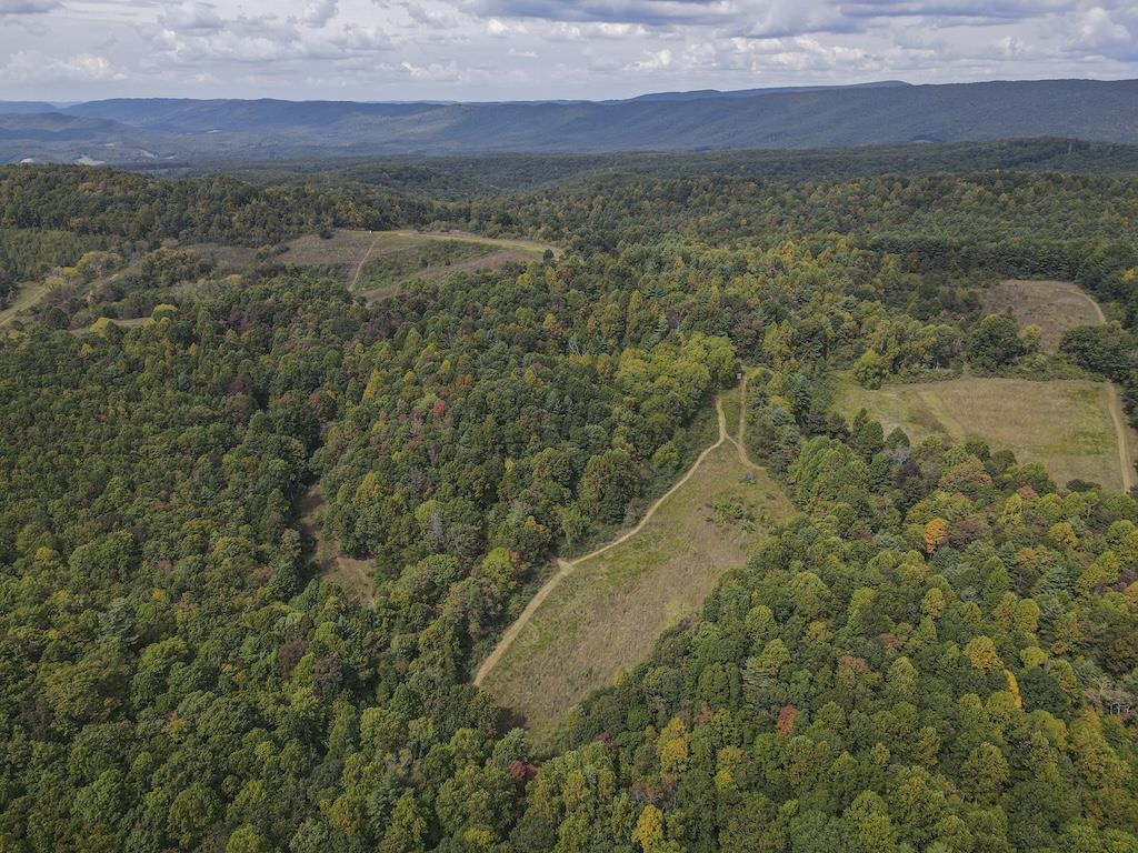 Tbd Flat Top Road Pearisburg VA 24134