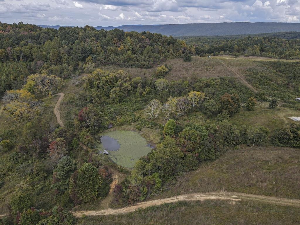 Tbd Flat Top Road Pearisburg VA 24134