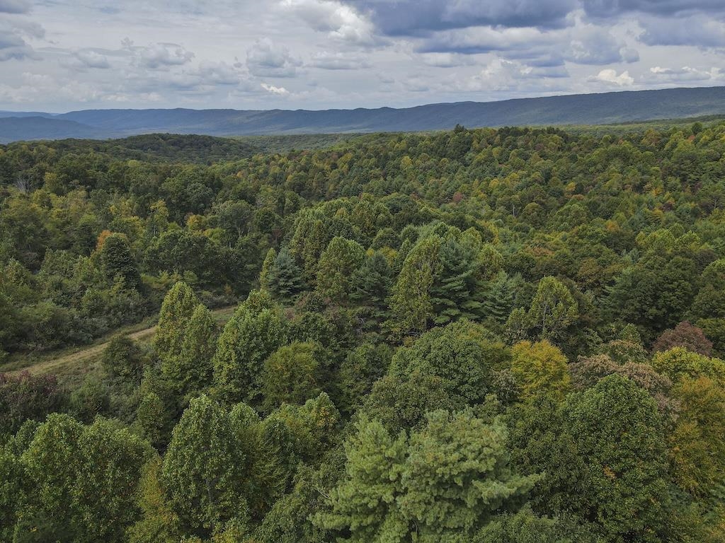 Tbd Flat Top Road Pearisburg VA 24134