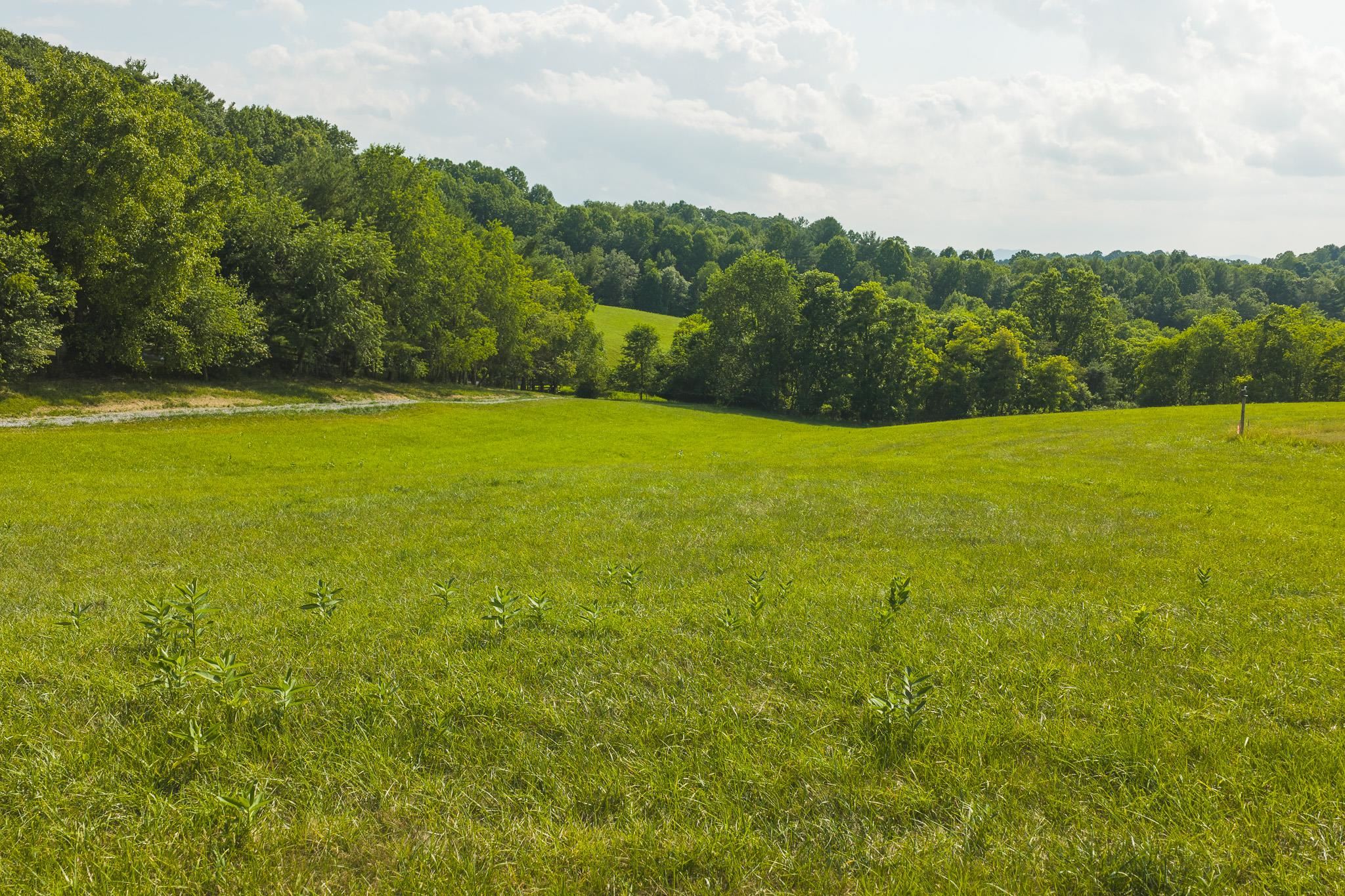 Lot 1 Brush Creek Road Riner VA 24149