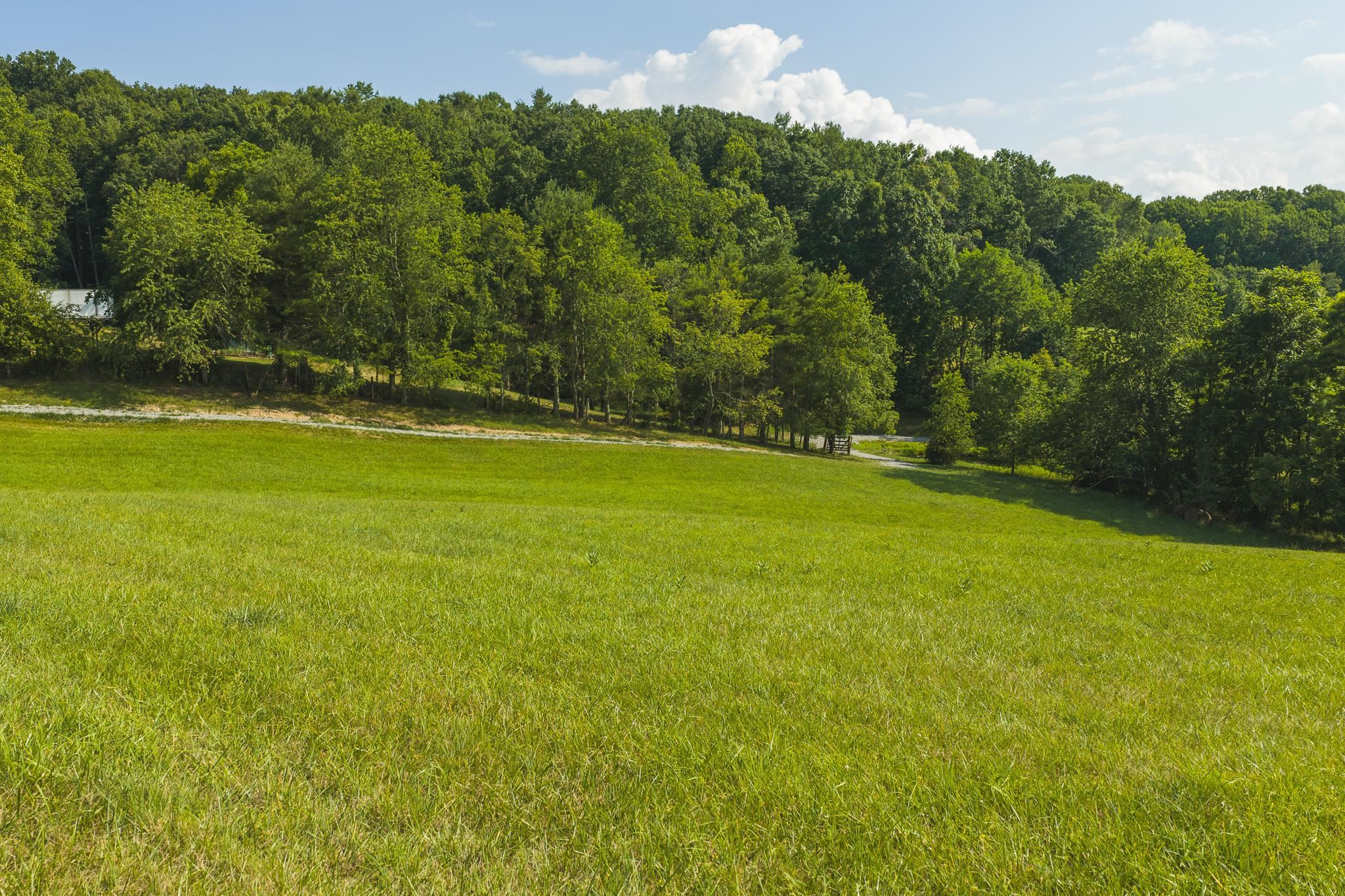 Lot 1 Brush Creek Road Riner VA 24149