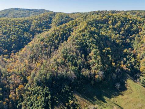 TBD Lick Ridge Road Check VA 24072