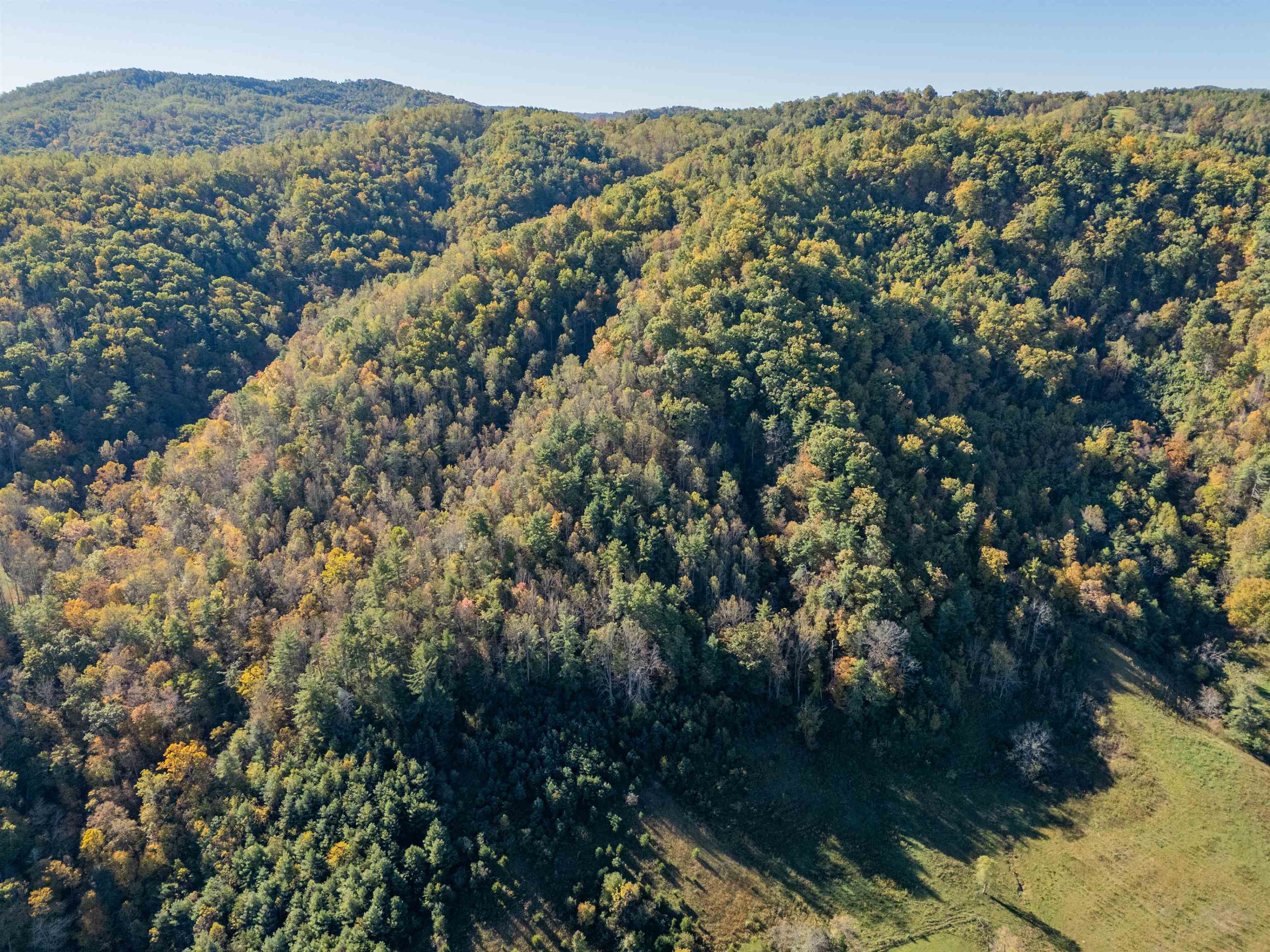 Tbd Lick Ridge Road Check VA 24072