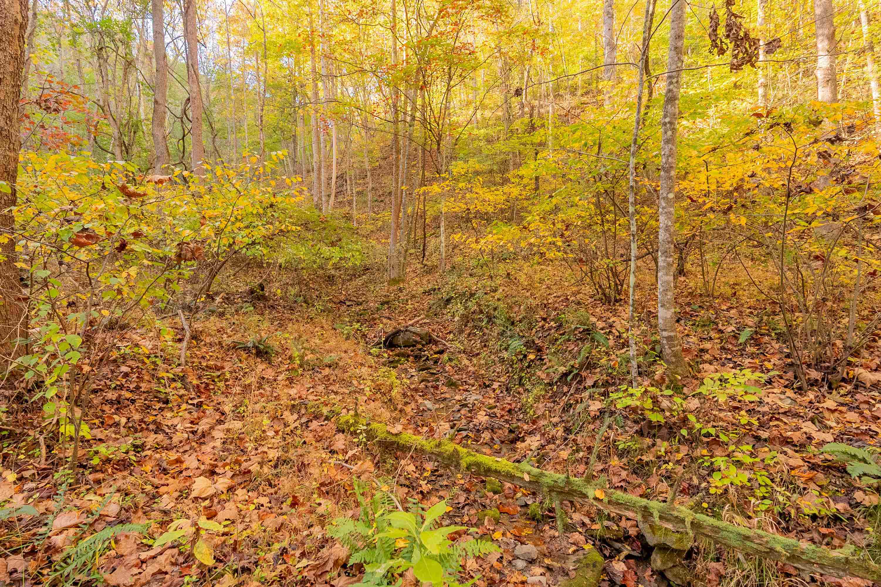 Tbd Lick Ridge Road Check VA 24072