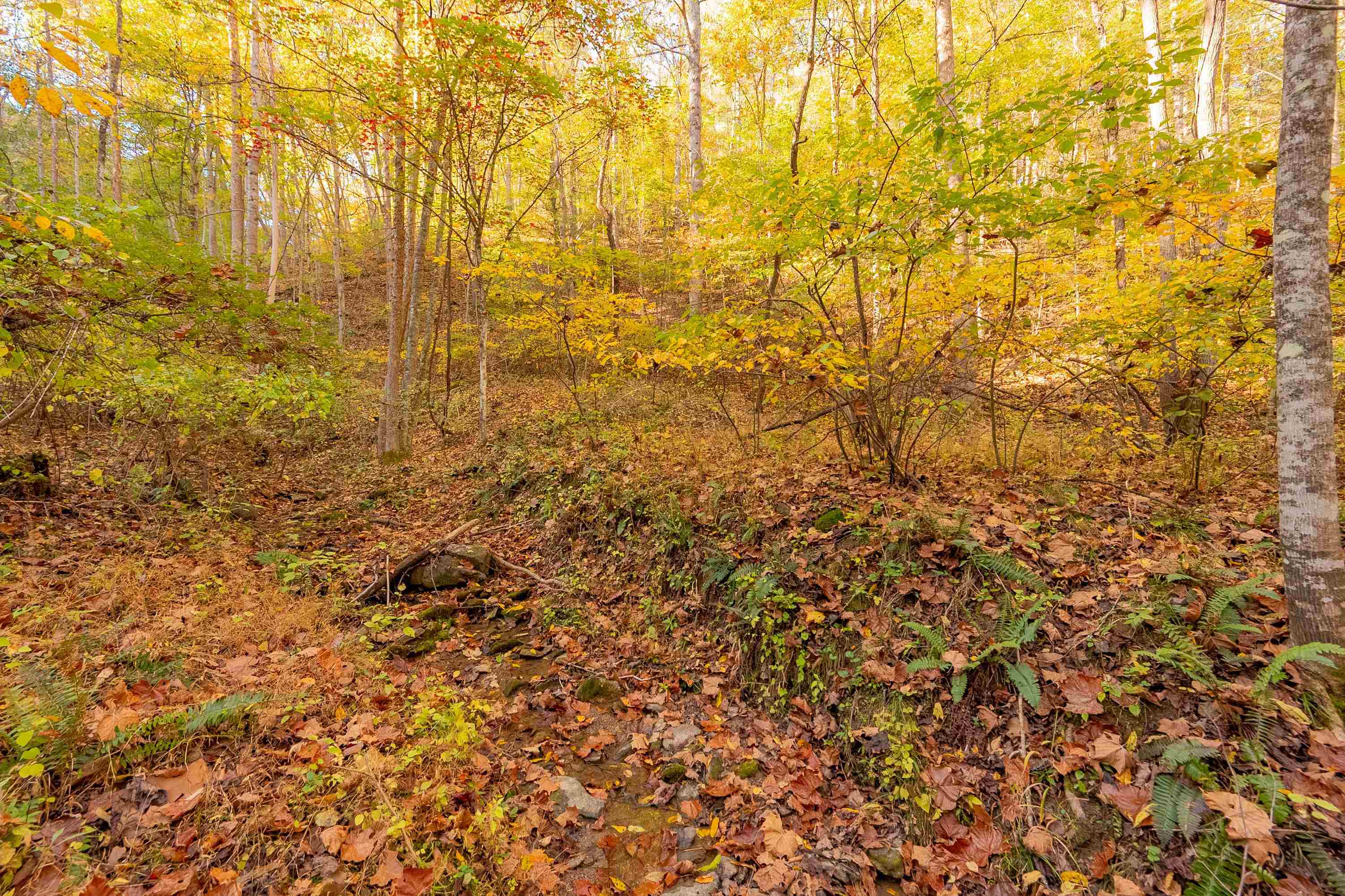 Tbd Lick Ridge Road Check VA 24072