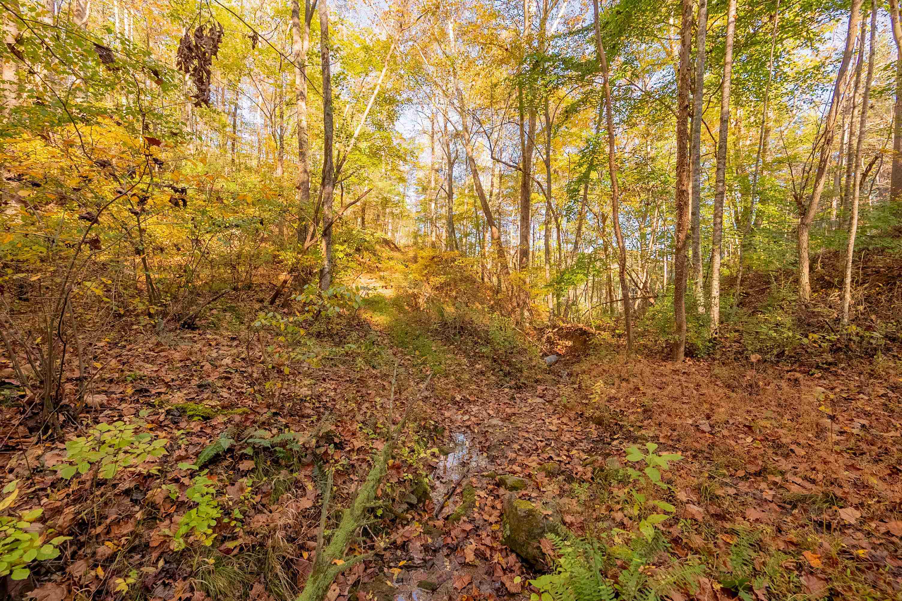 Tbd Lick Ridge Road Check VA 24072