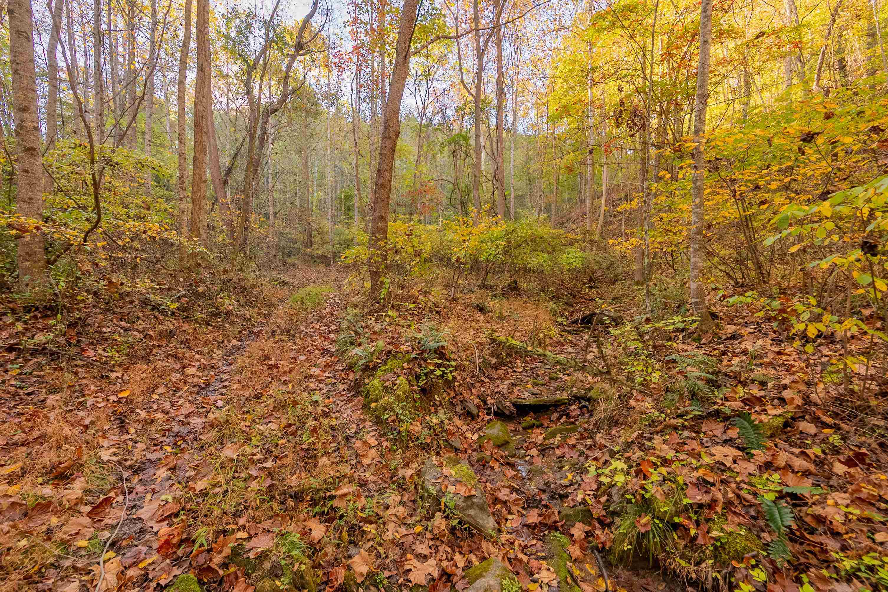 Tbd Lick Ridge Road Check VA 24072