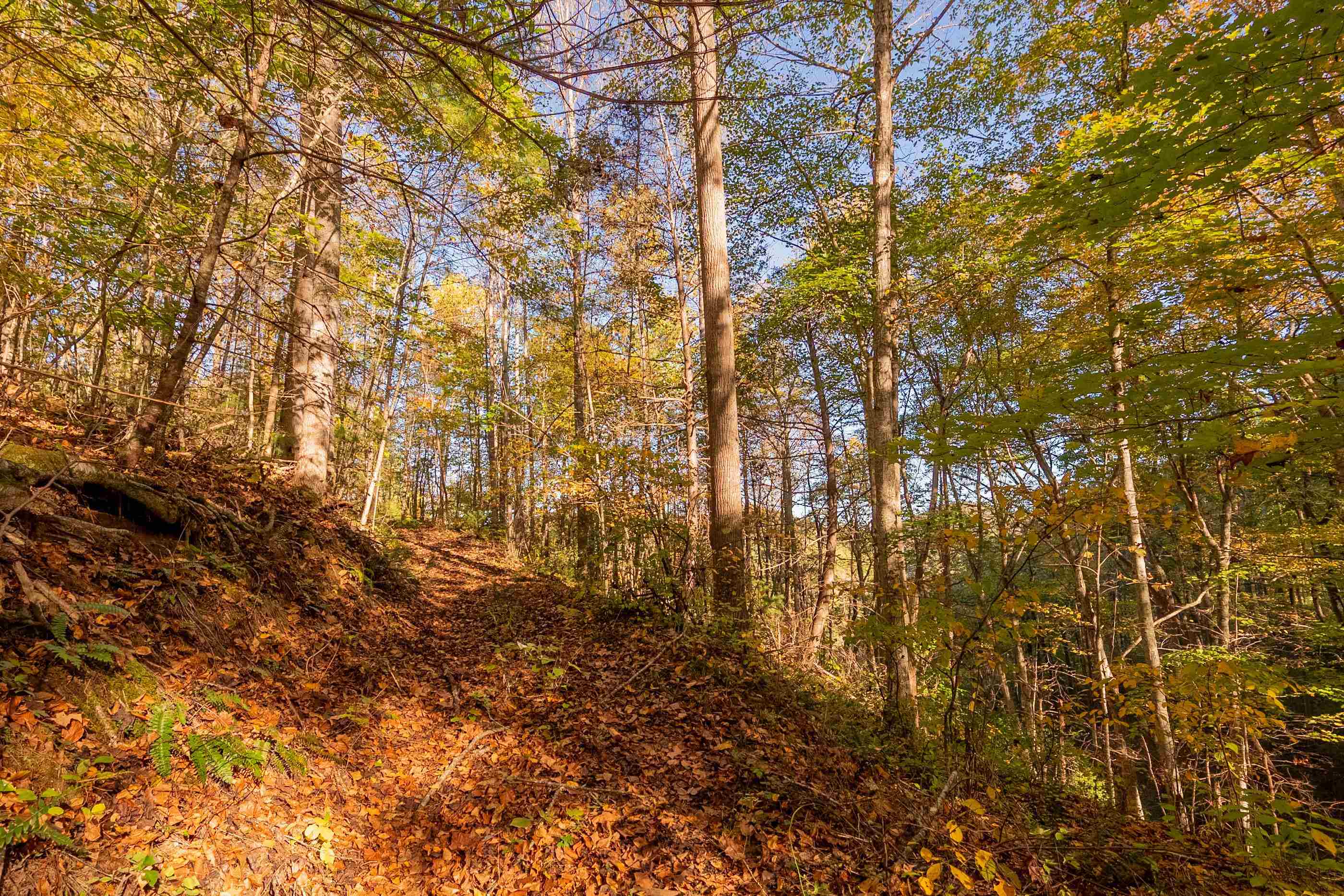 Tbd Lick Ridge Road Check VA 24072