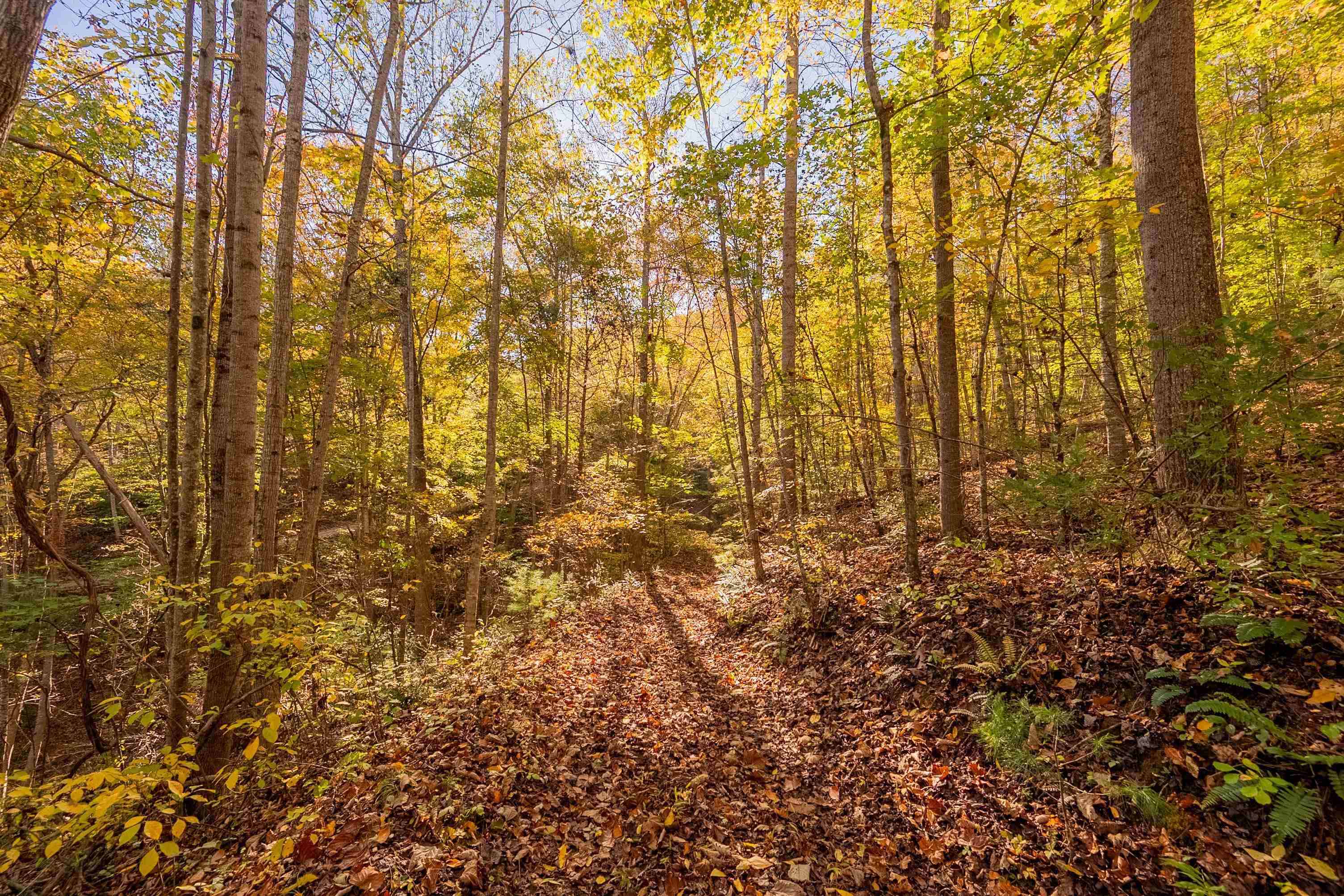 Tbd Lick Ridge Road Check VA 24072