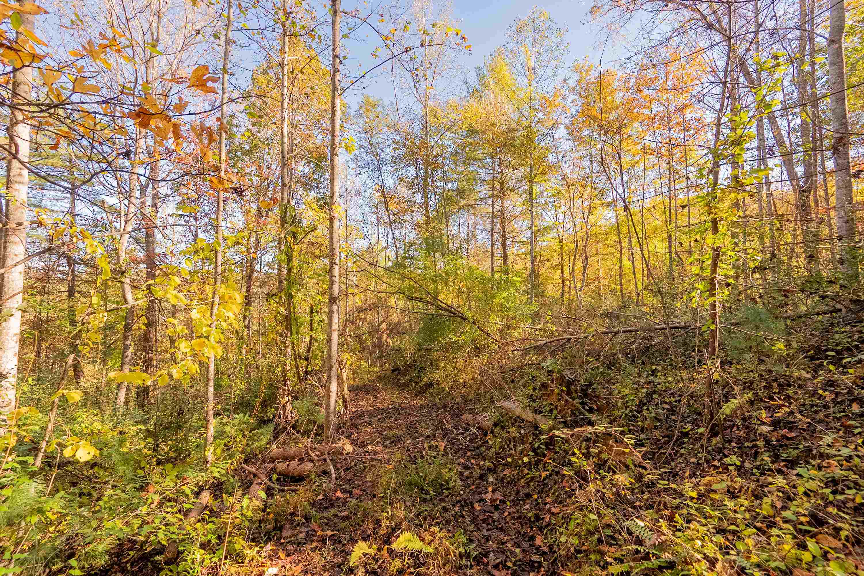 Tbd Lick Ridge Road Check VA 24072