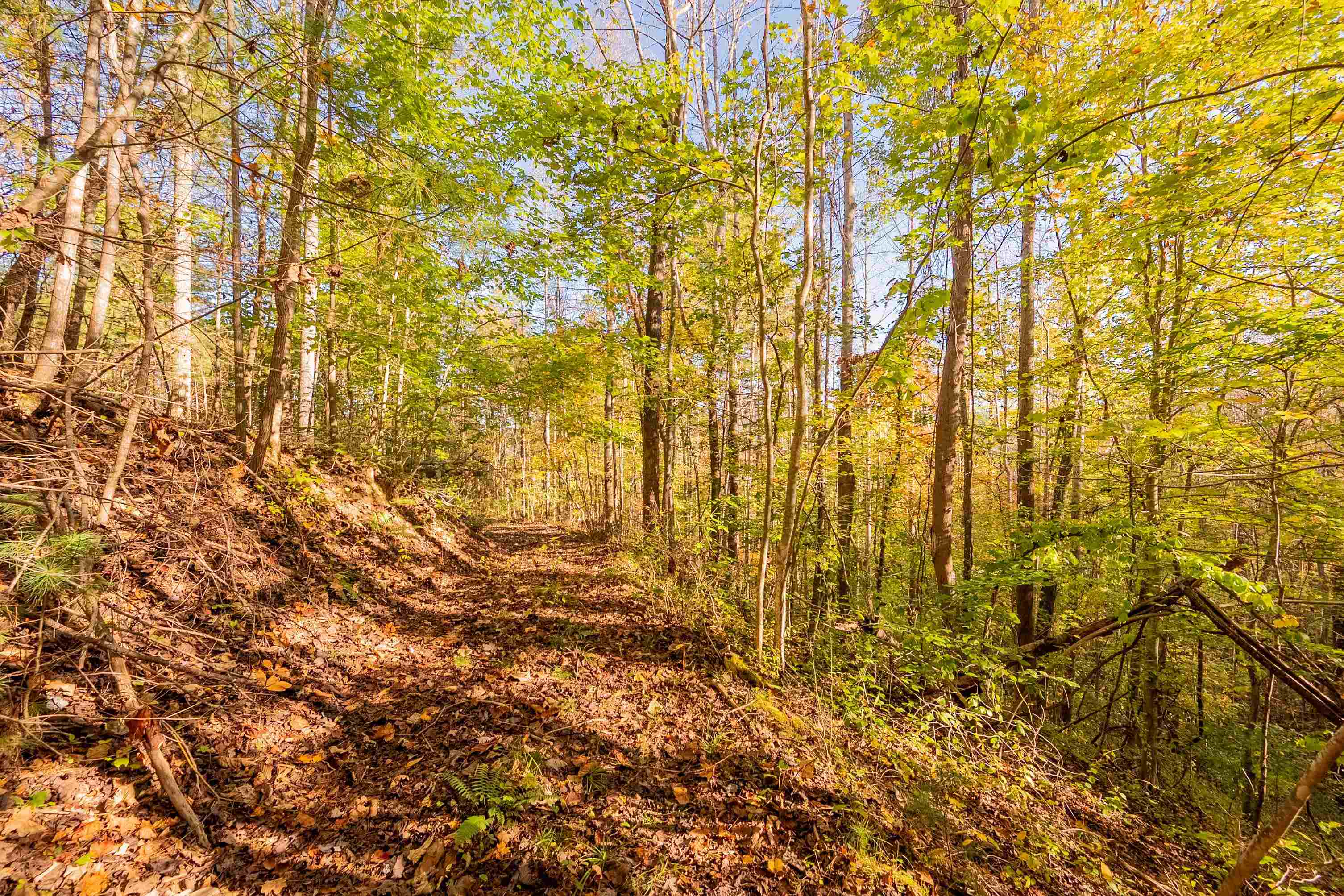Tbd Lick Ridge Road Check VA 24072