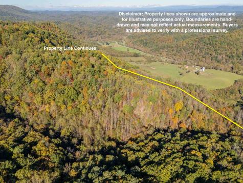 TBD Lick Ridge Road Check VA 24072
