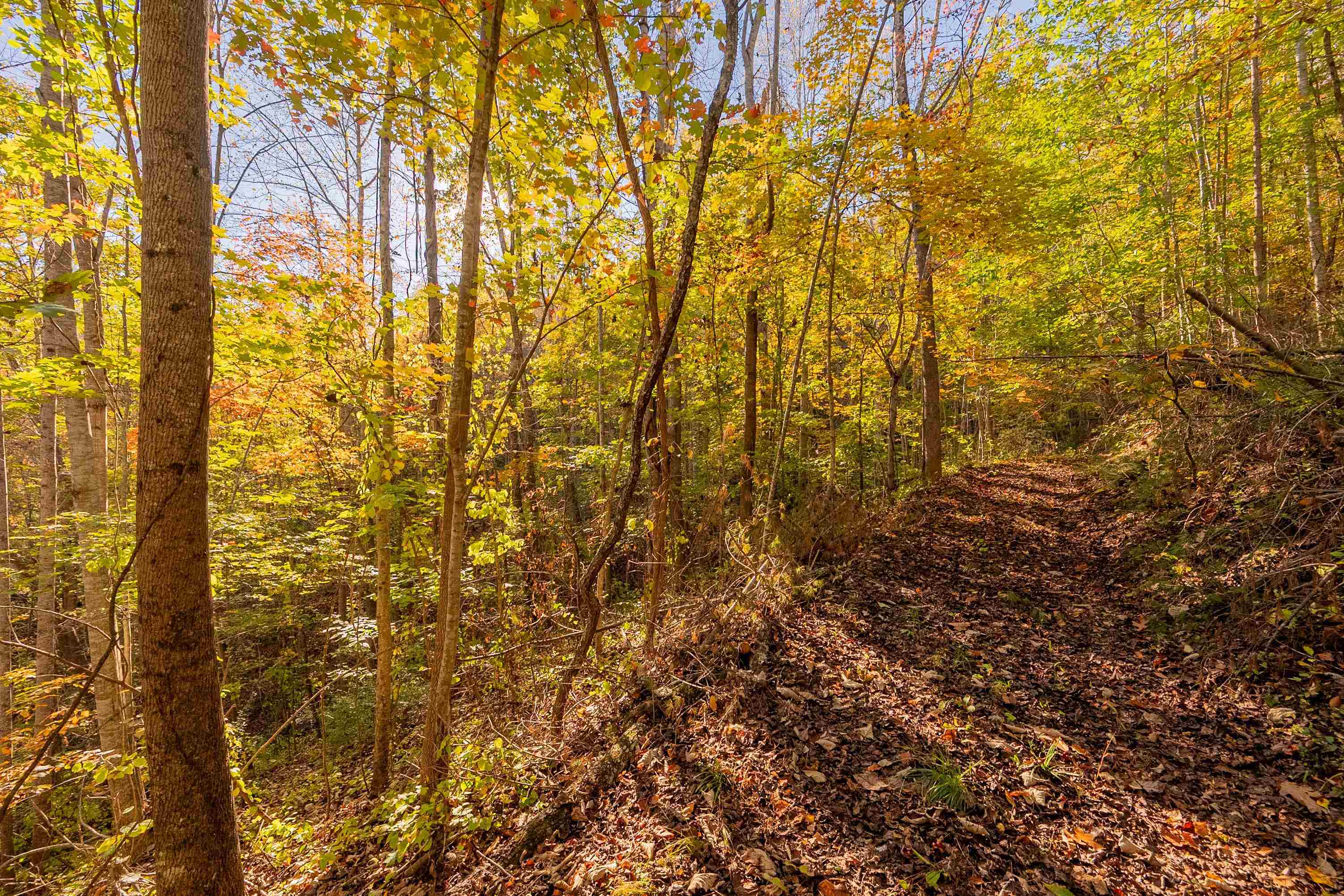 Tbd Lick Ridge Road Check VA 24072