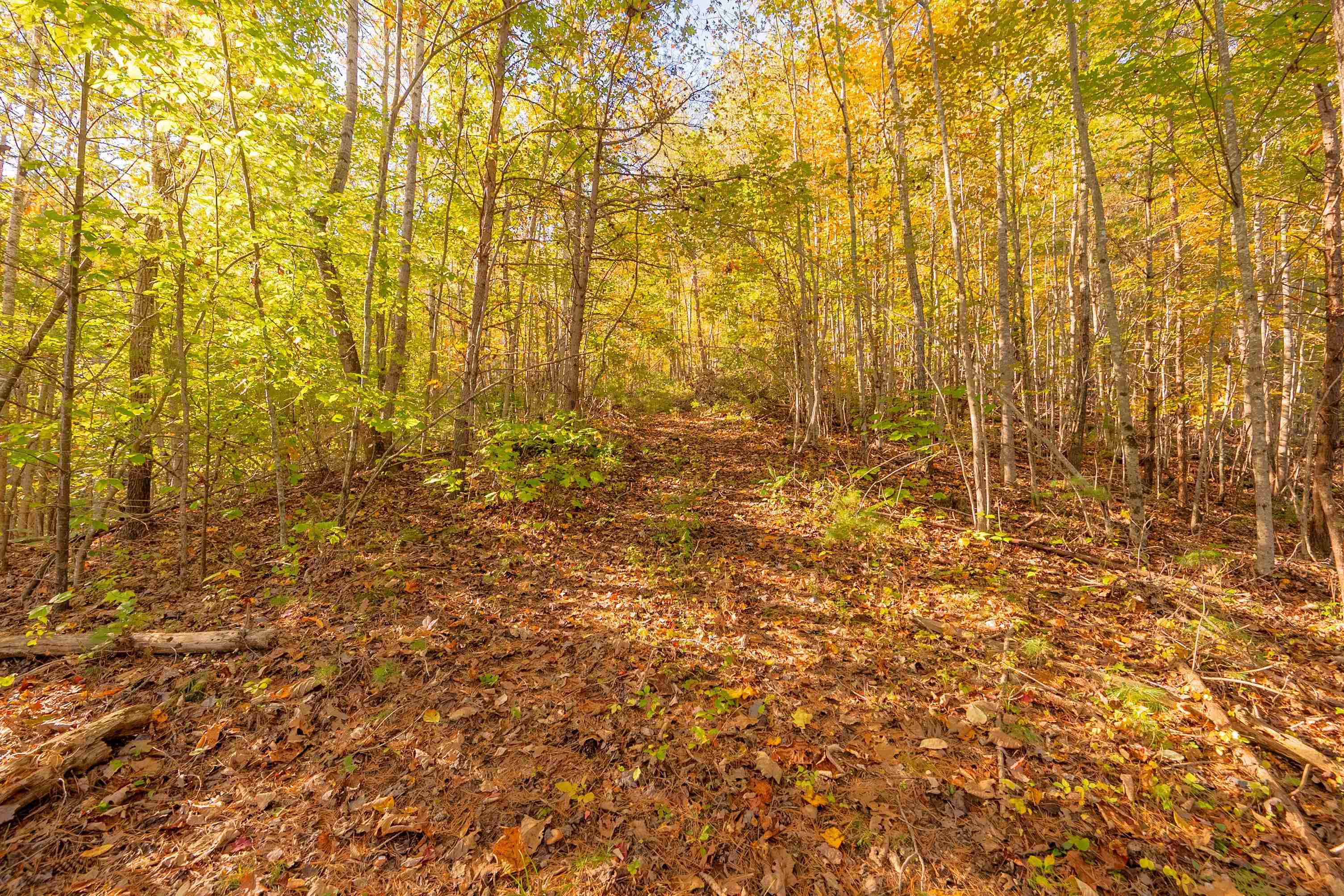 Tbd Lick Ridge Road Check VA 24072