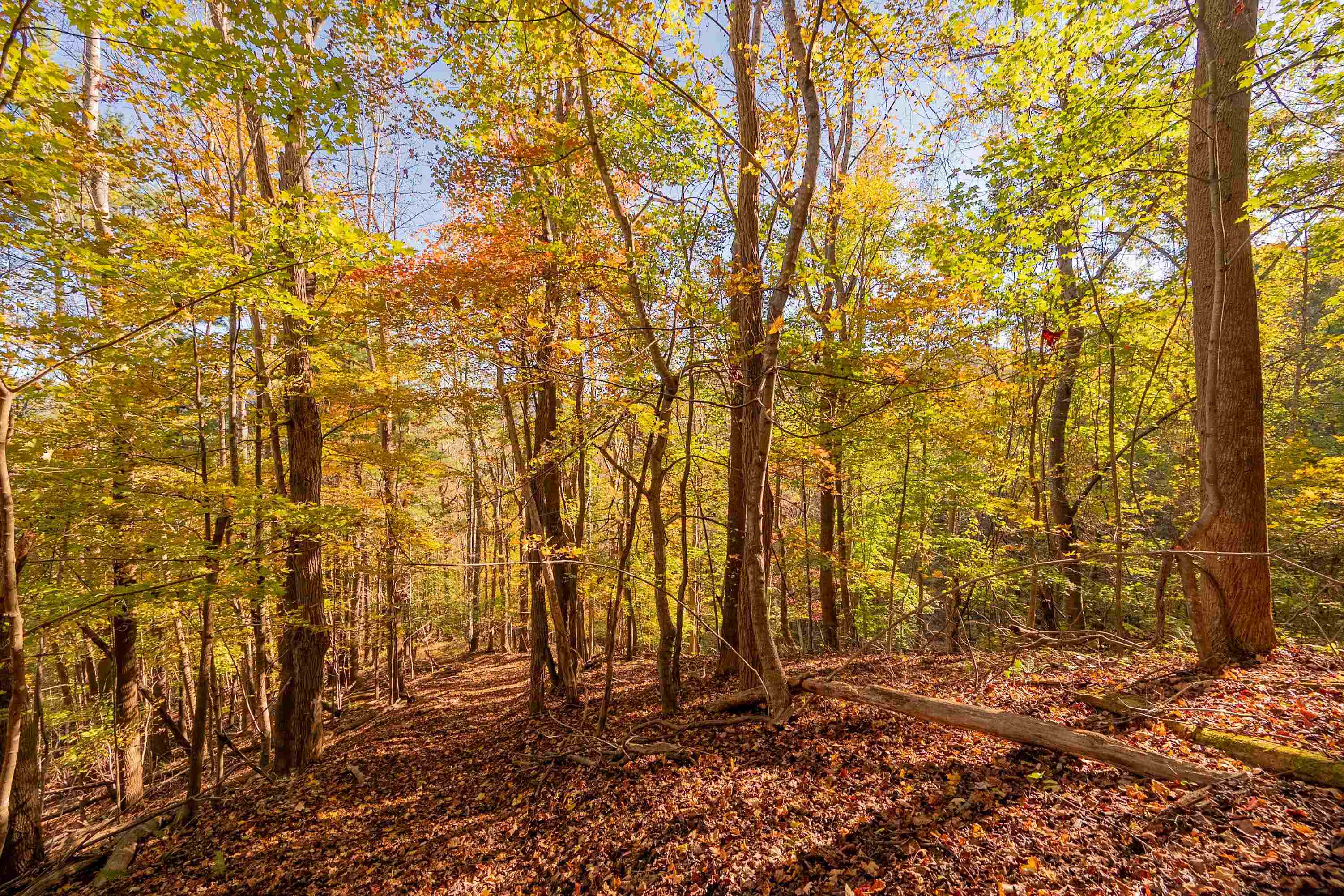 Tbd Lick Ridge Road Check VA 24072