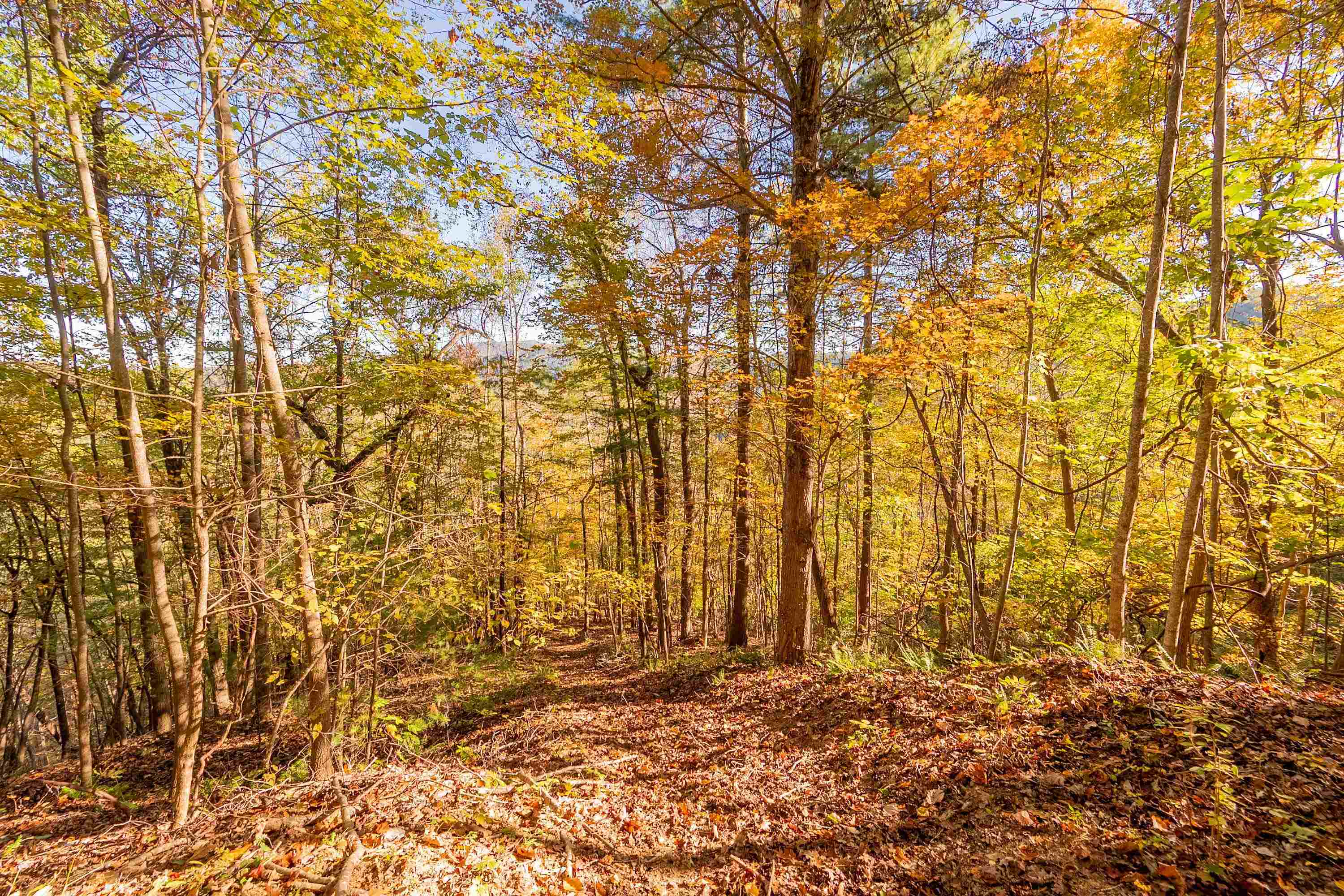 Tbd Lick Ridge Road Check VA 24072