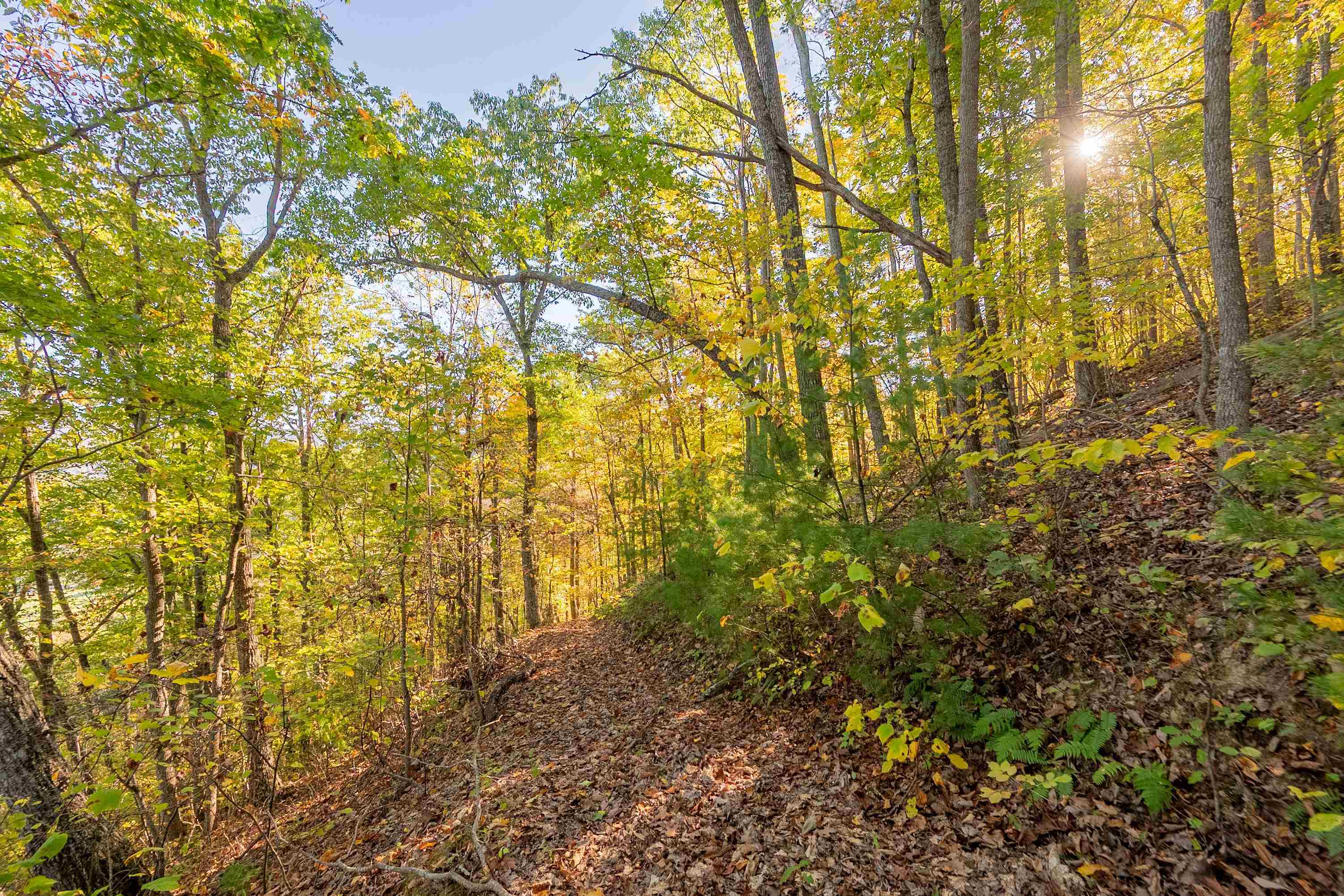 Tbd Lick Ridge Road Check VA 24072
