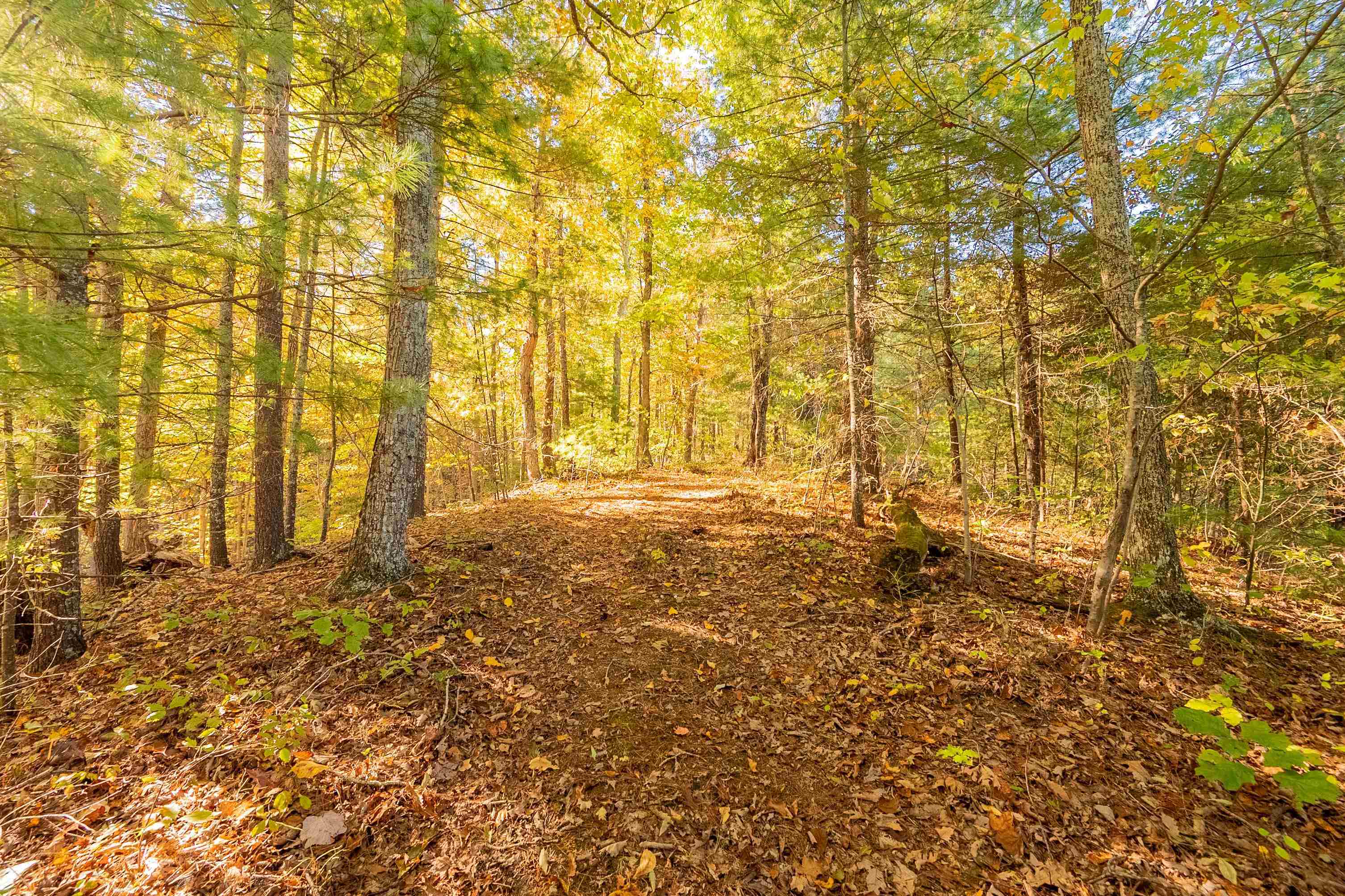 Tbd Lick Ridge Road Check VA 24072