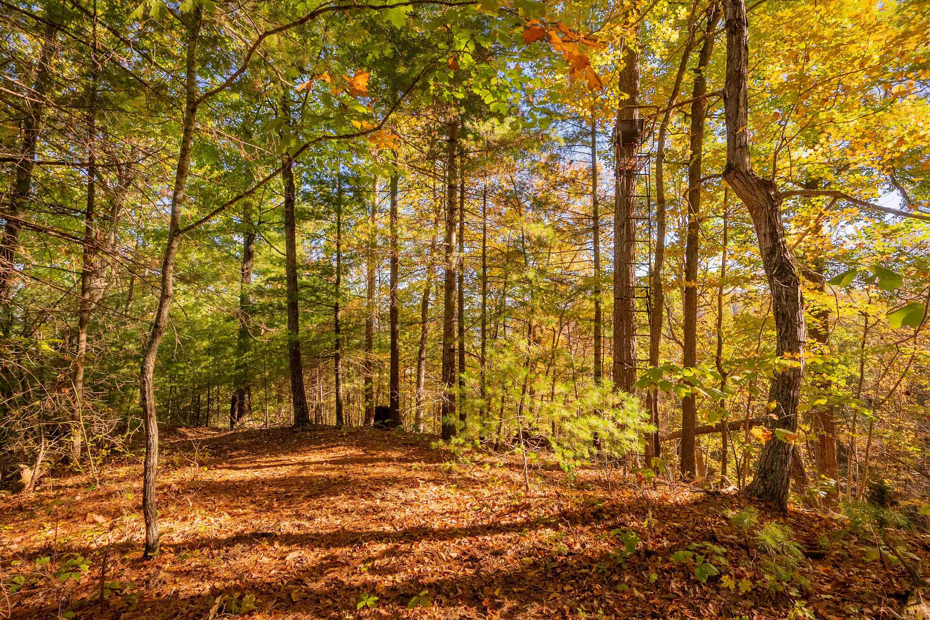 Tbd Lick Ridge Road Check VA 24072