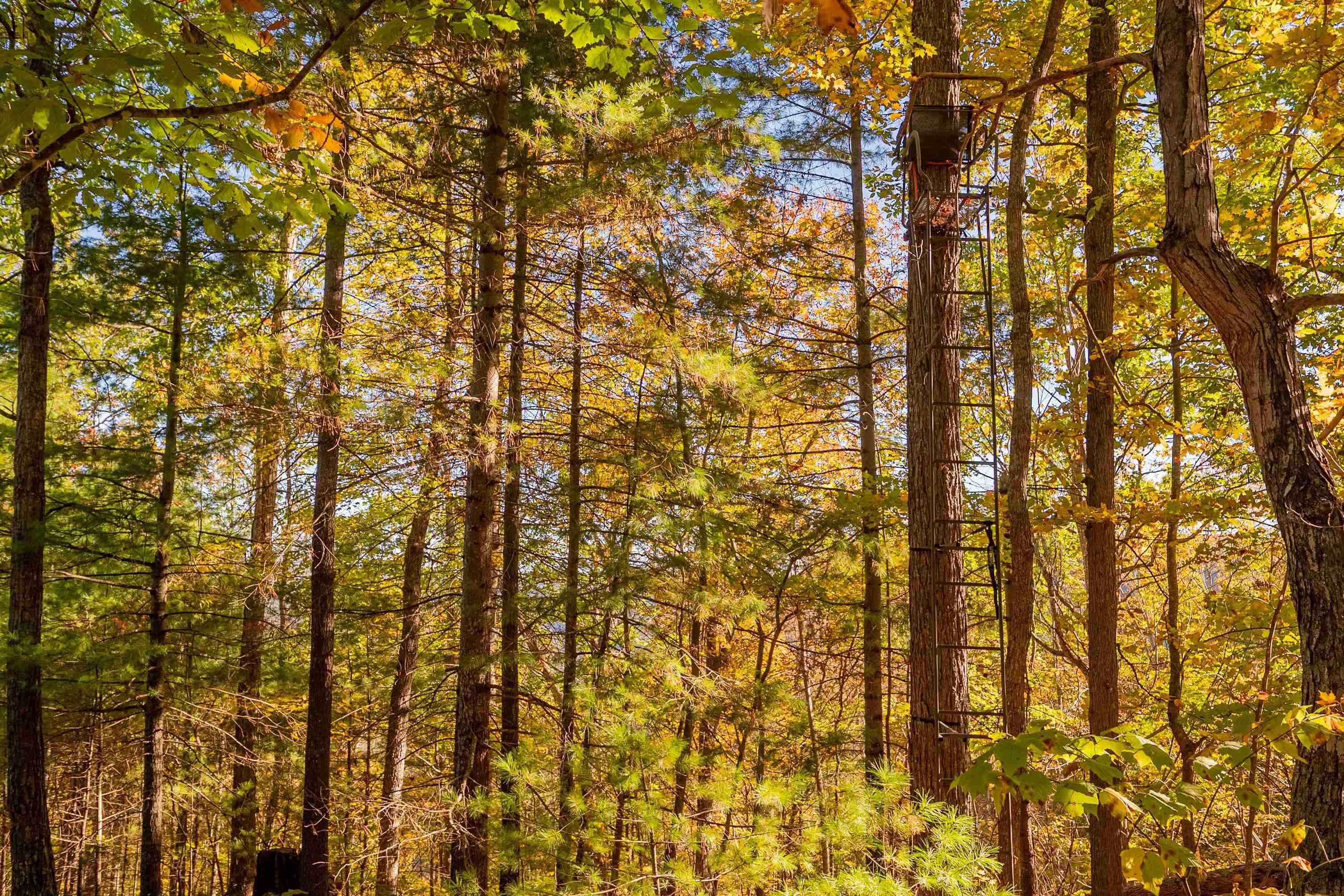 Tbd Lick Ridge Road Check VA 24072