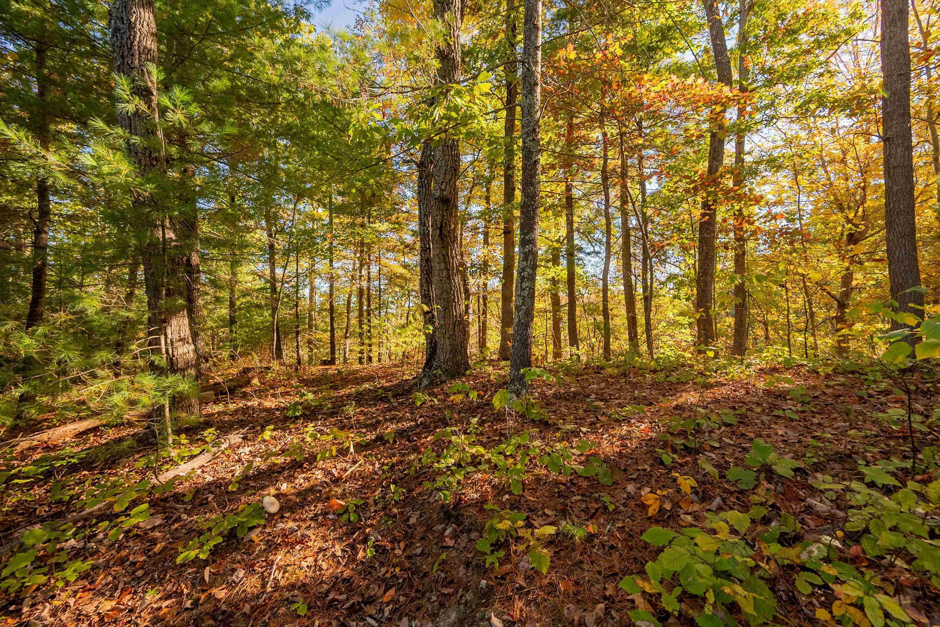 Tbd Lick Ridge Road Check VA 24072