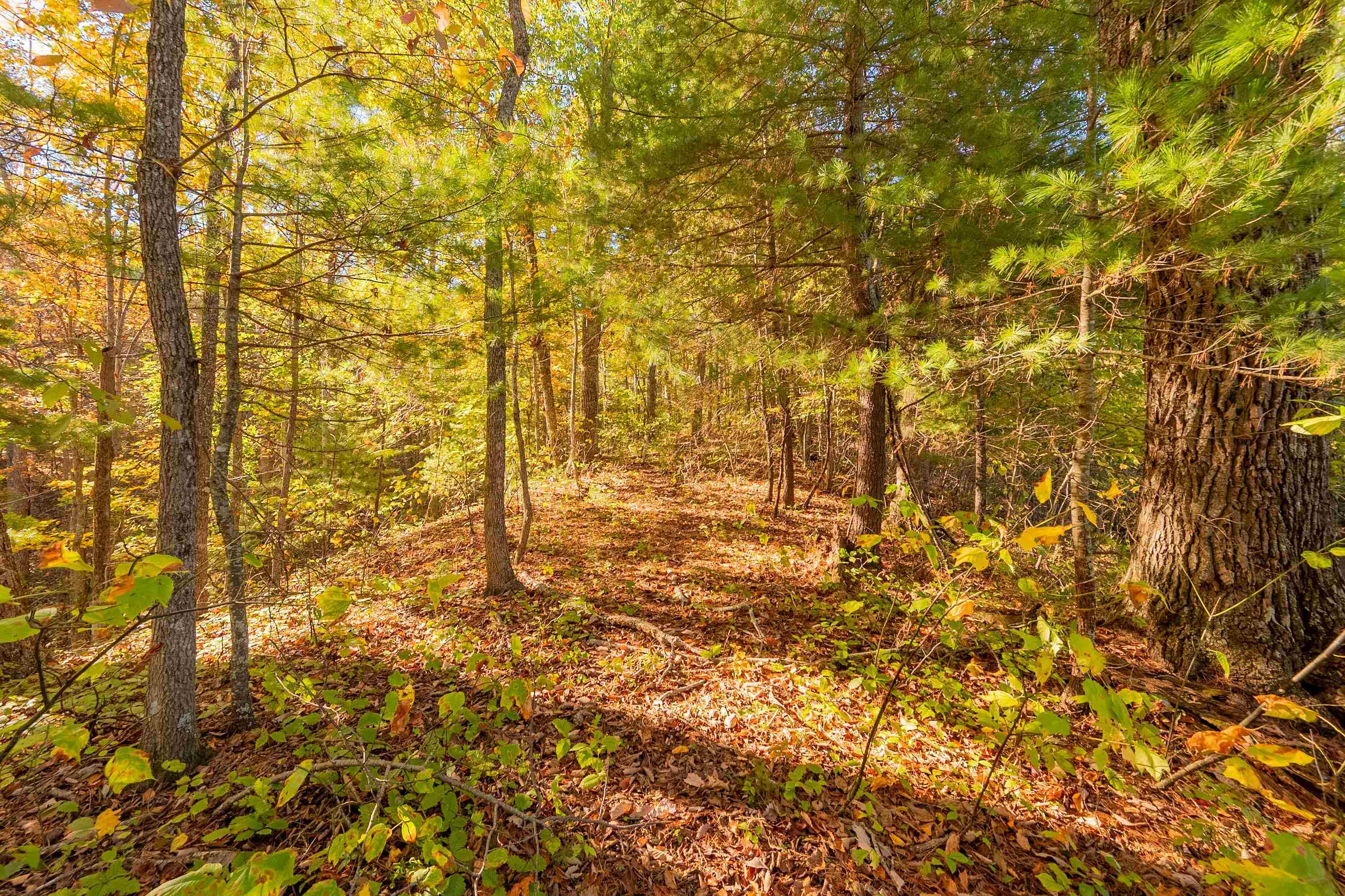 Tbd Lick Ridge Road Check VA 24072