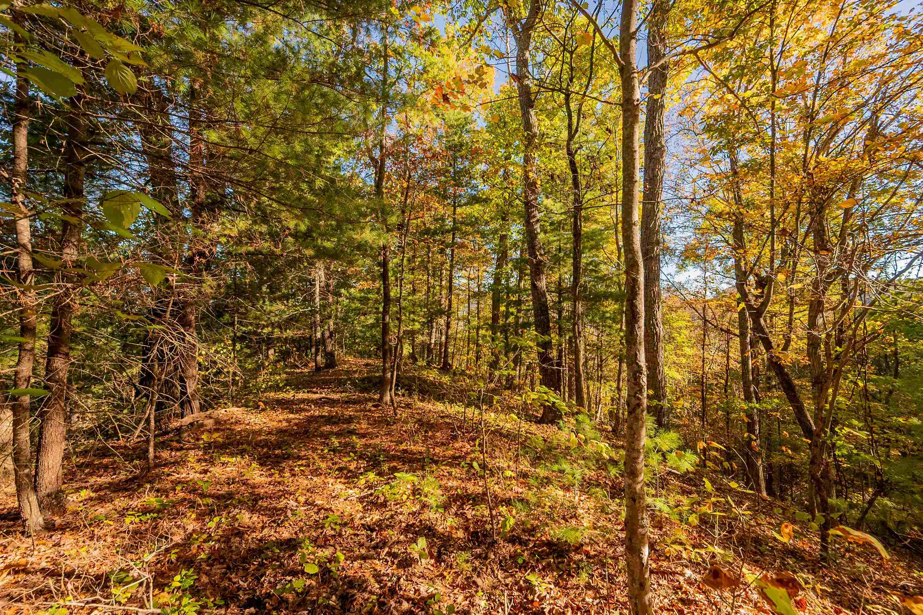 Tbd Lick Ridge Road Check VA 24072