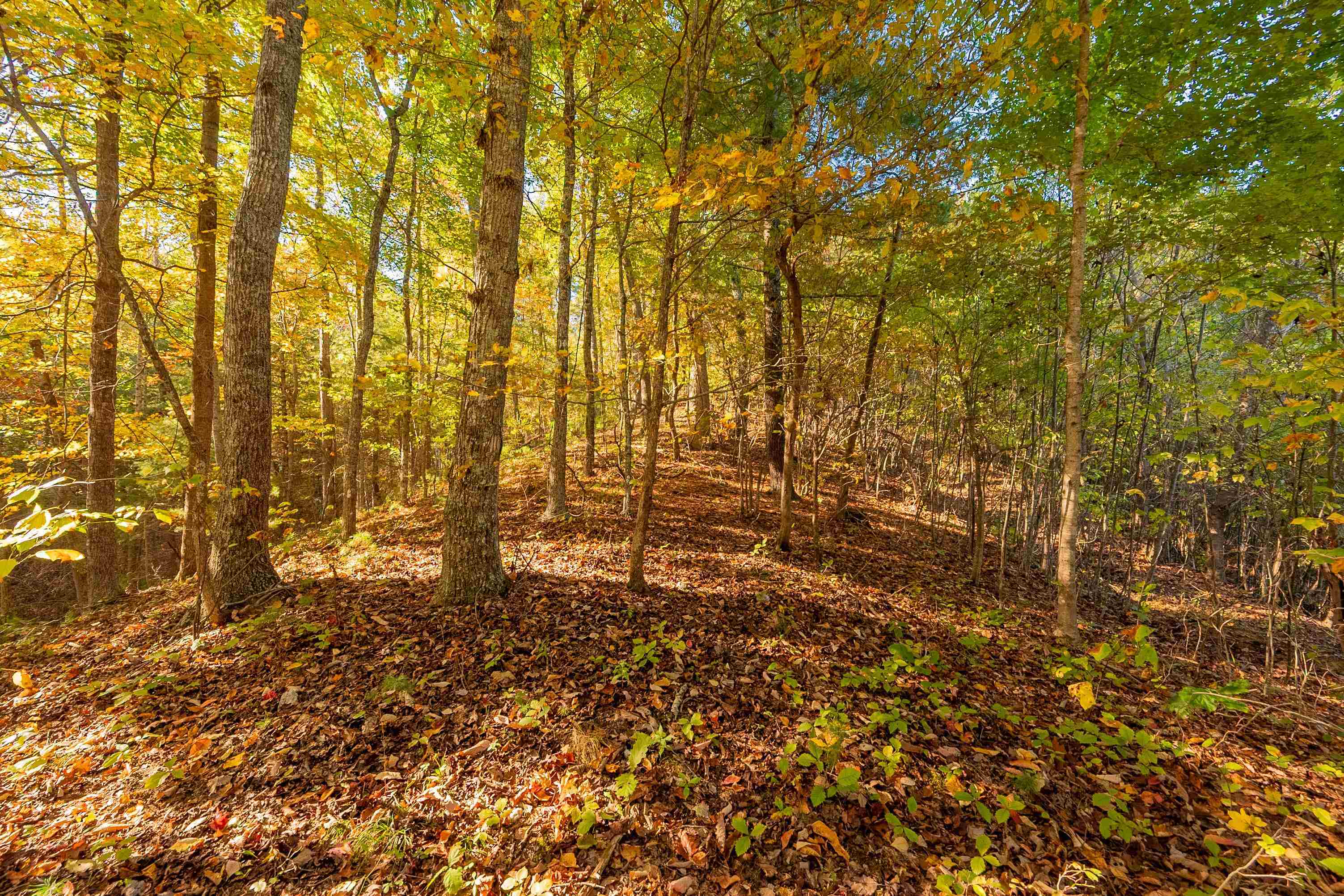 Tbd Lick Ridge Road Check VA 24072