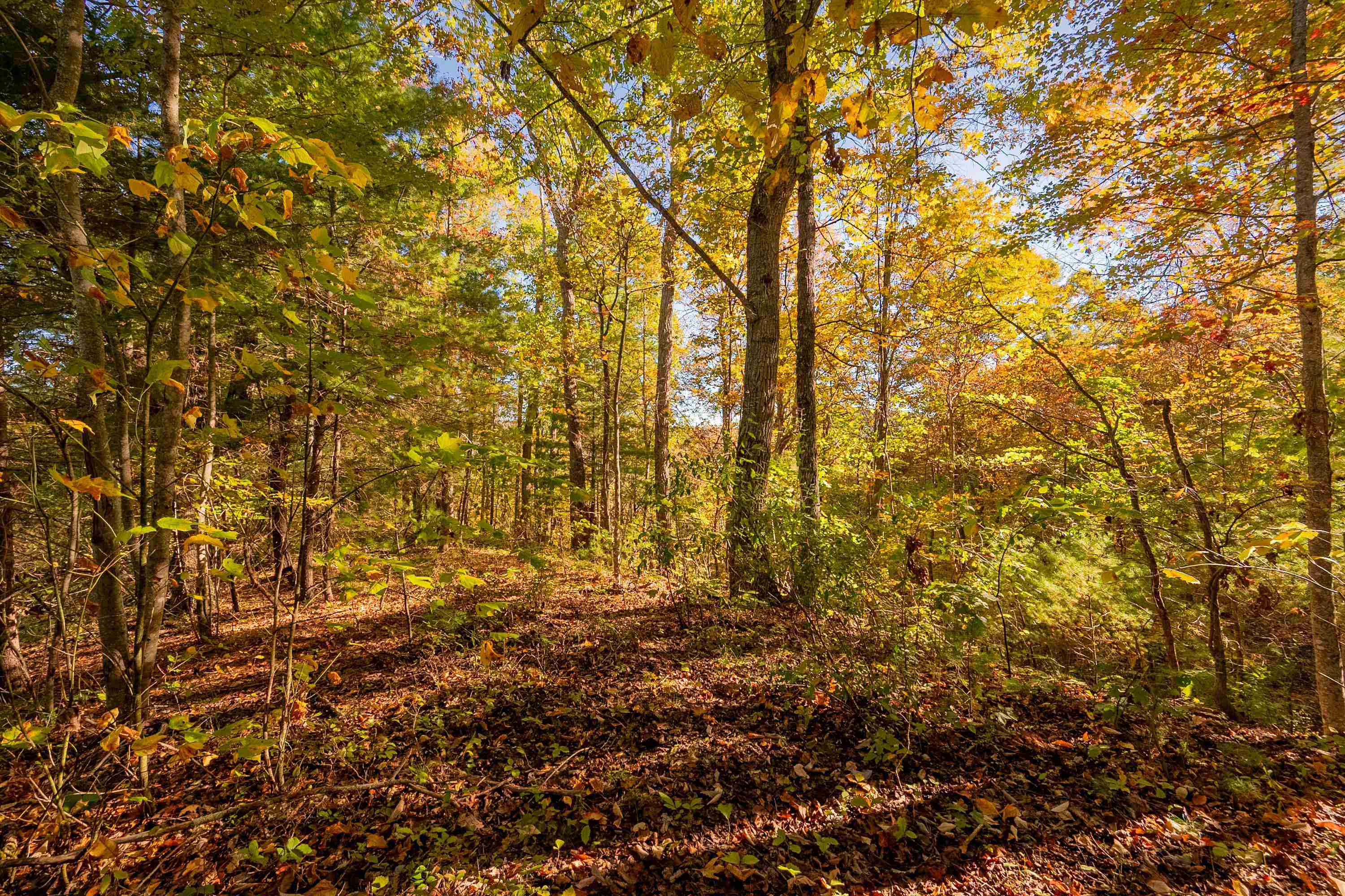 Tbd Lick Ridge Road Check VA 24072